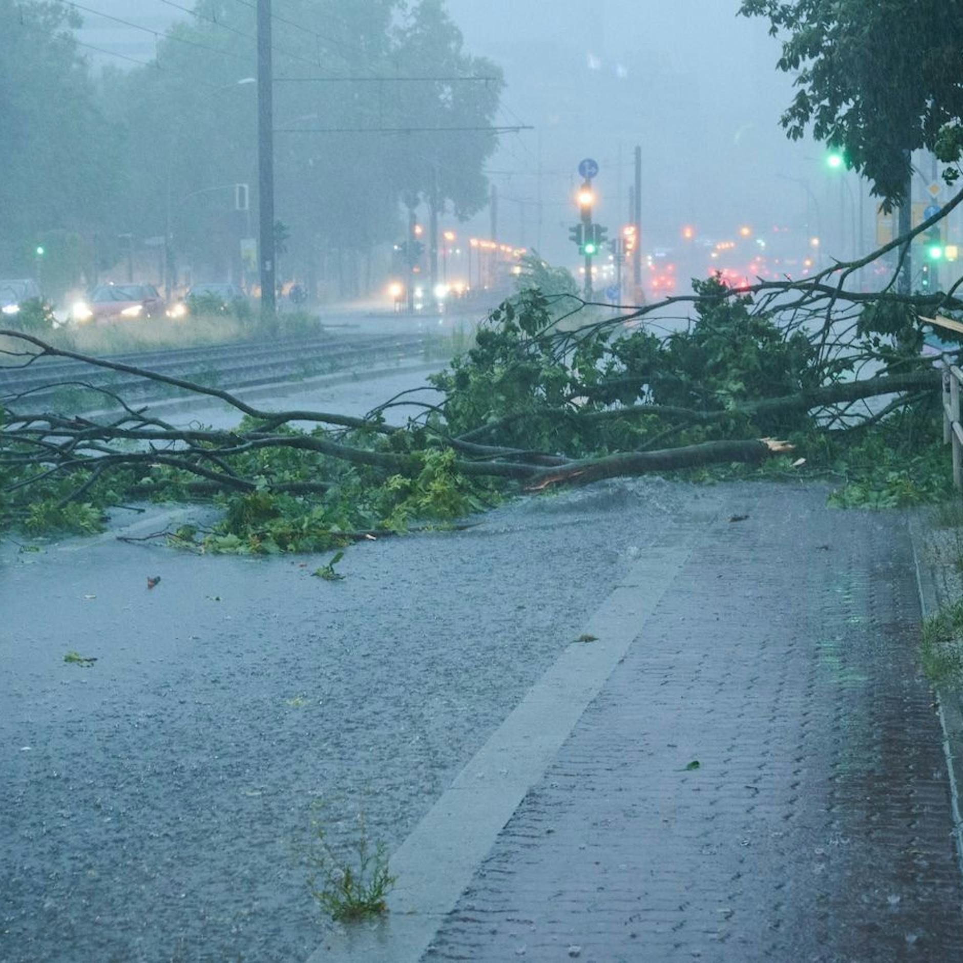 „Keine Chance auf Sommer “ – so übel wird das Wetter diese Woche!