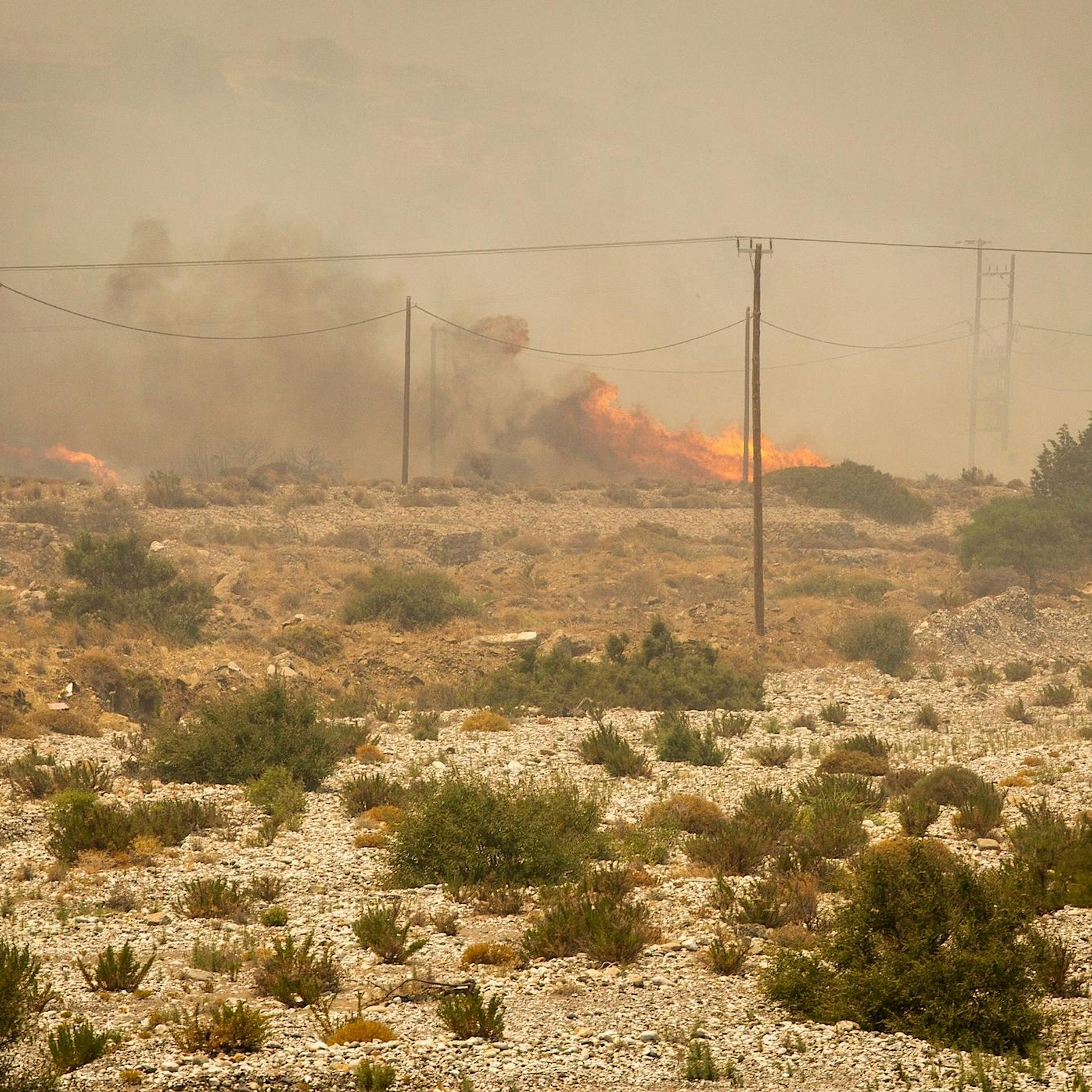 Brände in Griechenland: Großes Interesse an Sondersendungen
