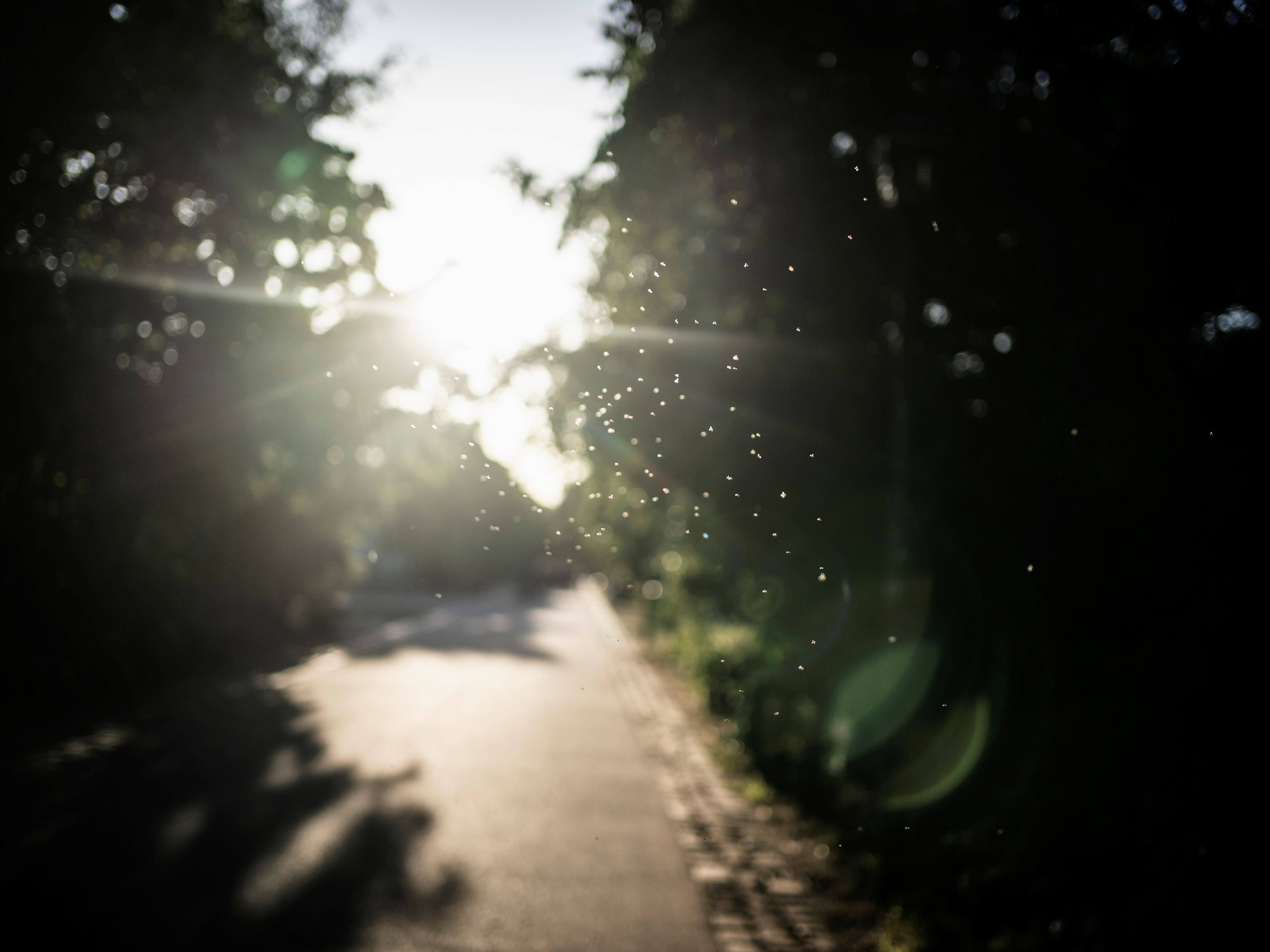 Görlitzer Park in Berlin: Abschied von meiner Abkürzung – war ich naiv?