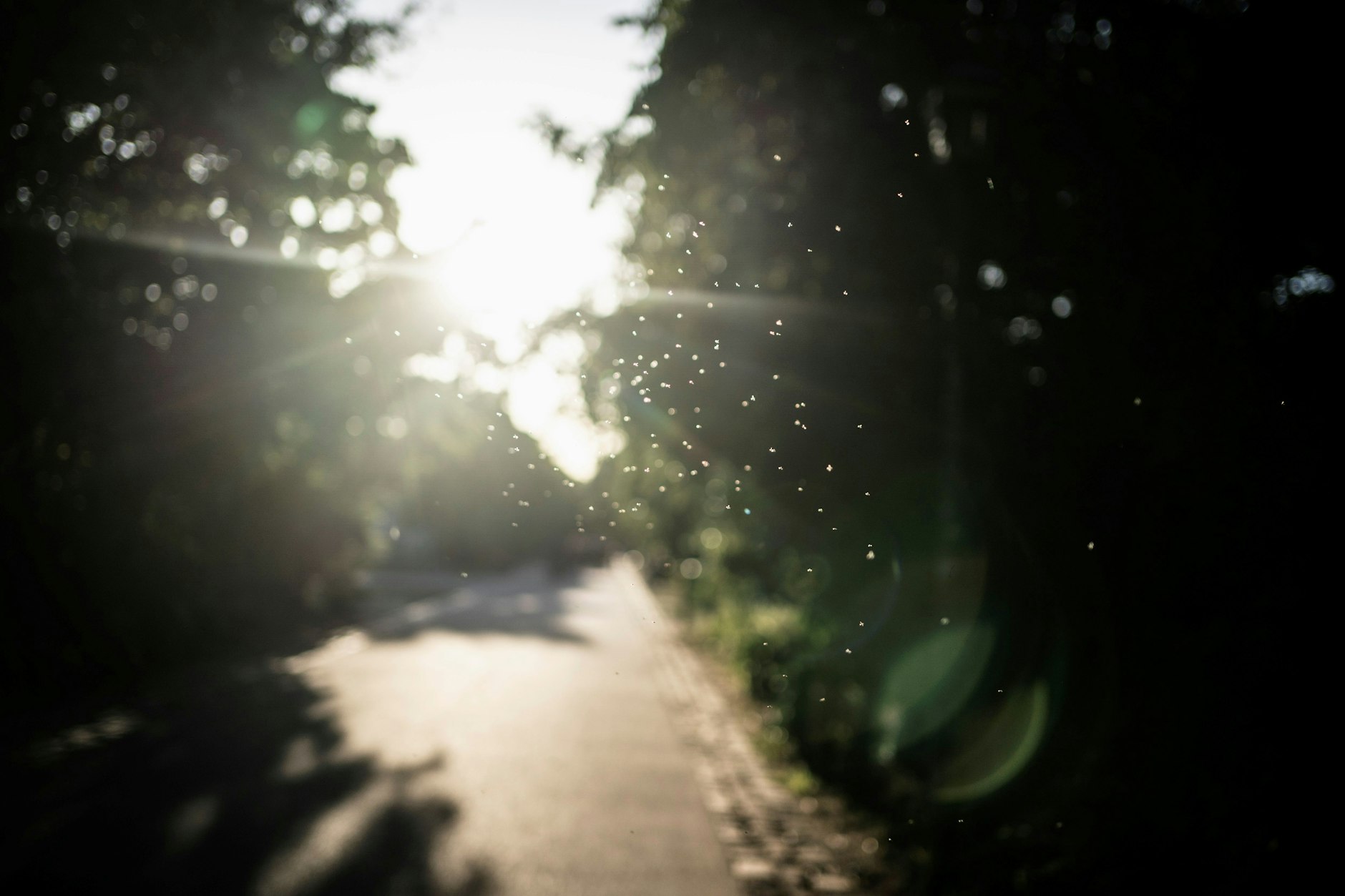 Der Görlitzer Park ist nicht nur ein Park, sondern auch ein Symbol geworden.