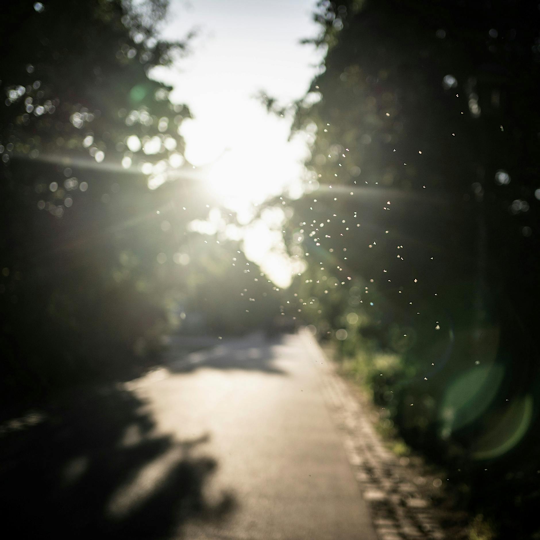 Görlitzer Park in Berlin: Abschied von meiner Abkürzung – war ich naiv?
