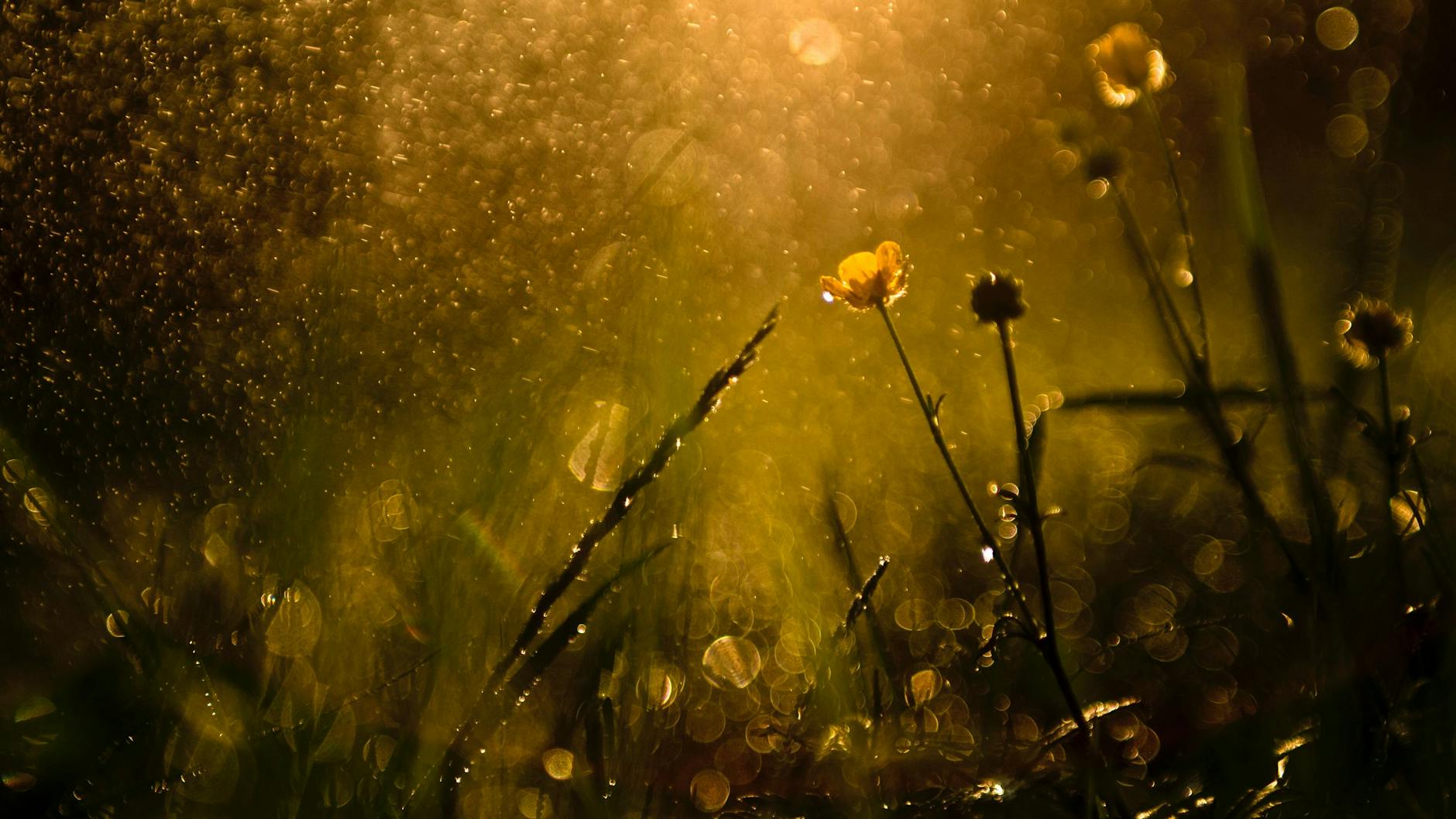 Erst Sonne, dann Sturm: Viele Menschen erleben in diesem Sommer Wetterfühligkeit.