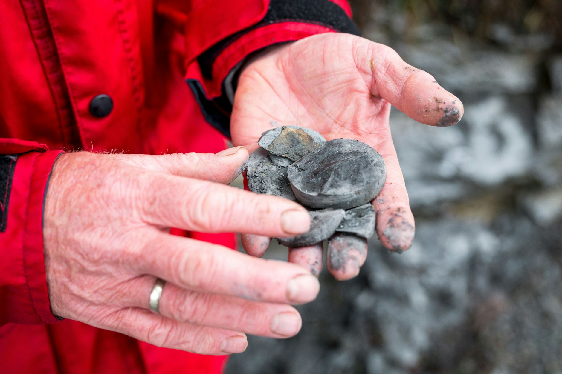 Georg Loth, Geologe am Bayerischen Landesamt für Umwelt, hält ein Ergebnis der ersten Probebohrung der 443 Millionen Jahre alten Gesteinsschicht aus dem Erdzeitalter Silur in der Hand.