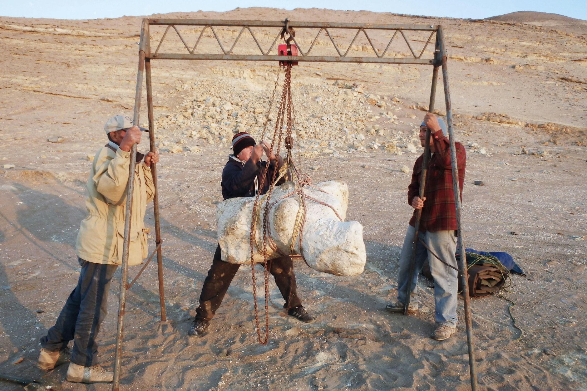 Drei Männer bereiten den Transport eines Exemplars des Perucetus colossus vom Ursprungsort in der Provinz Ica in Südperu zum Museo de Historia Natural in Lima vor.