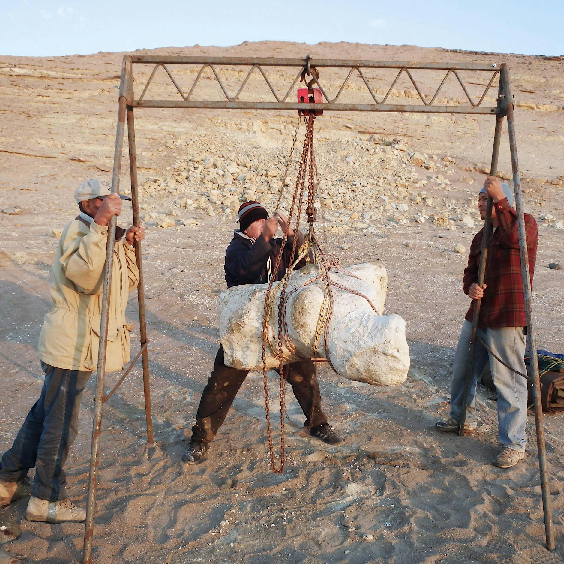 Fossilfund in Peru: Urzeit-Wal könnte schwerstes Tier der Welt gewesen sein