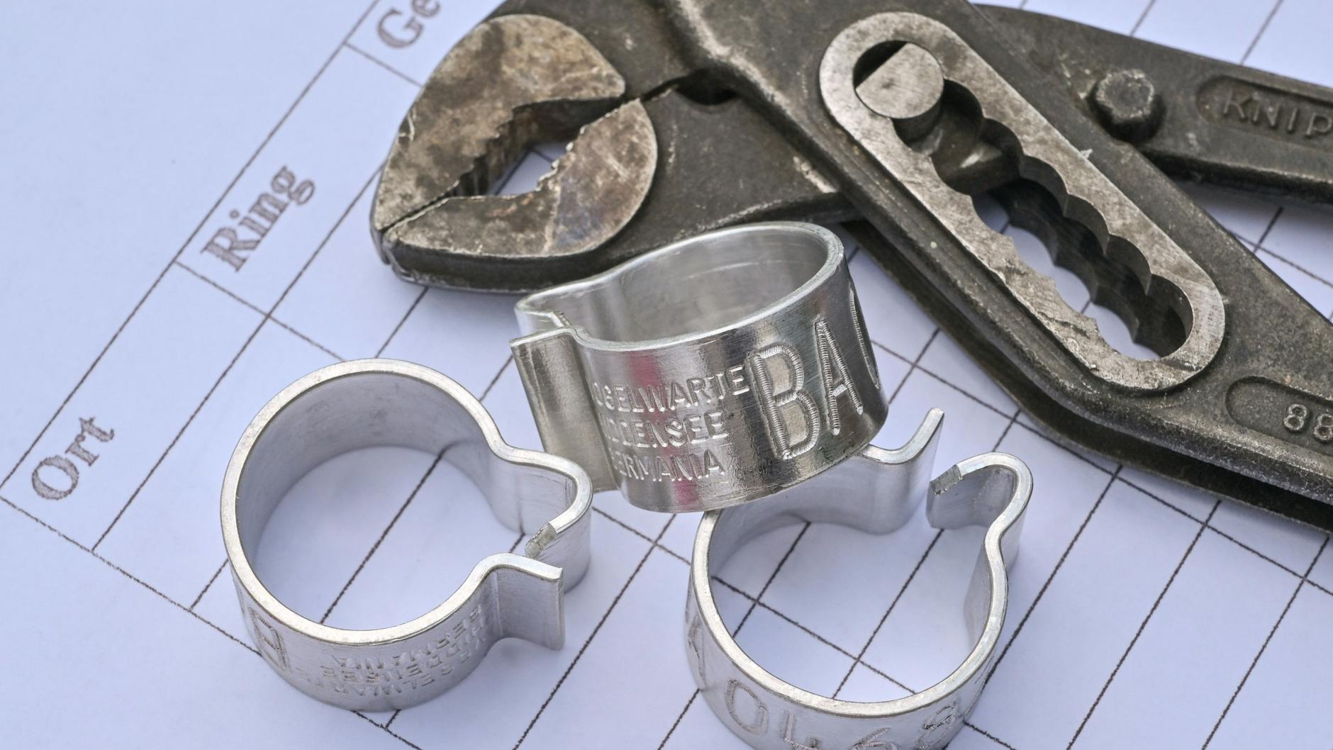 Mit diesen Ringen werden die jungen Störche beringt.