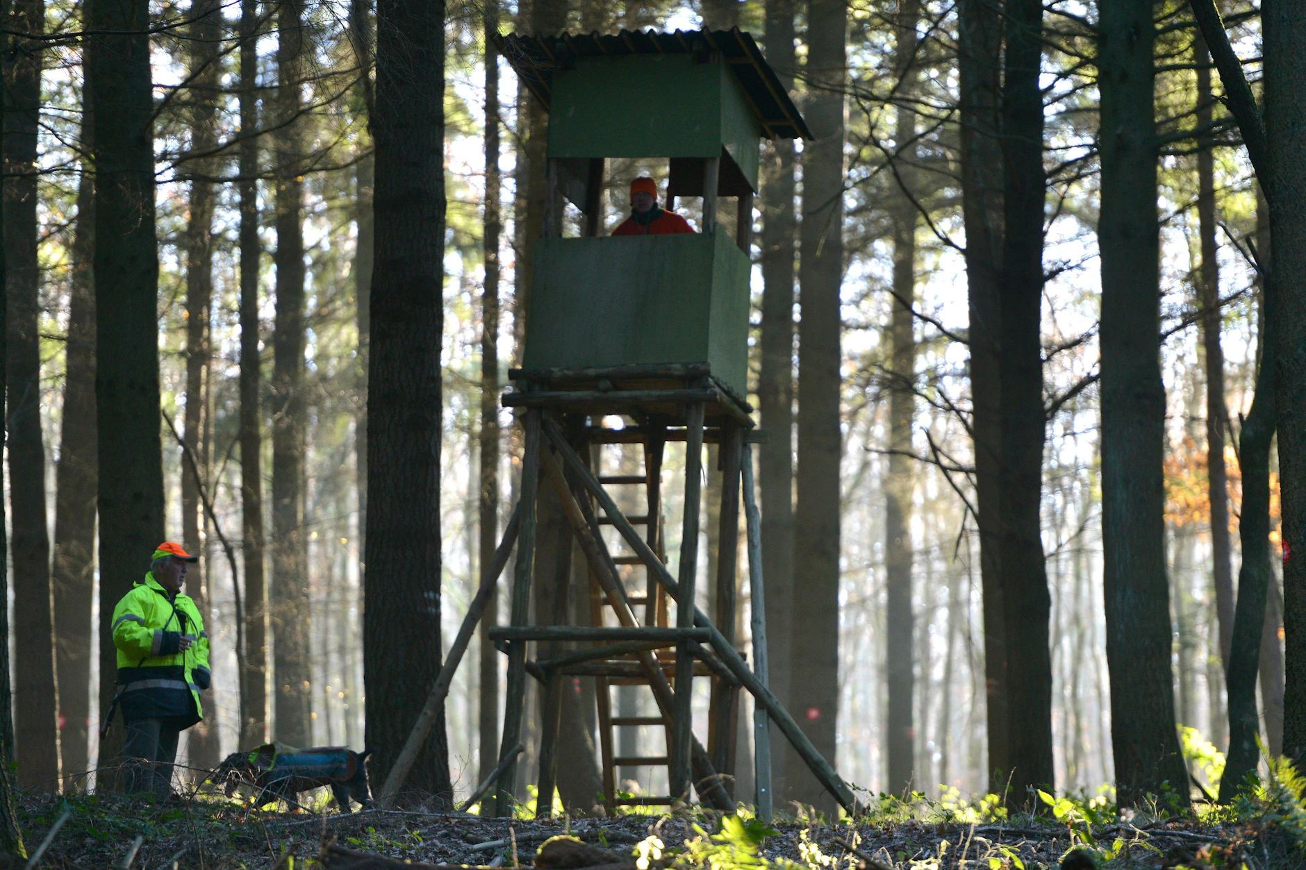 Tragischer Unfall: Jäger schießt sich aus Versehen ins Bein und stirbt