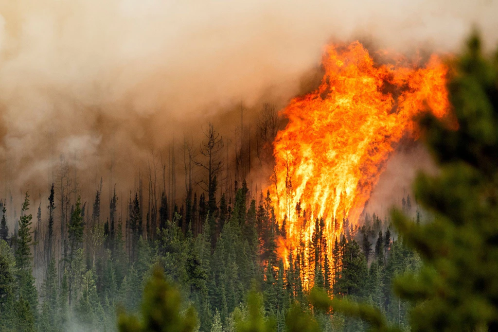 Waldbrände in Kanada verursachen Rekordemissionen