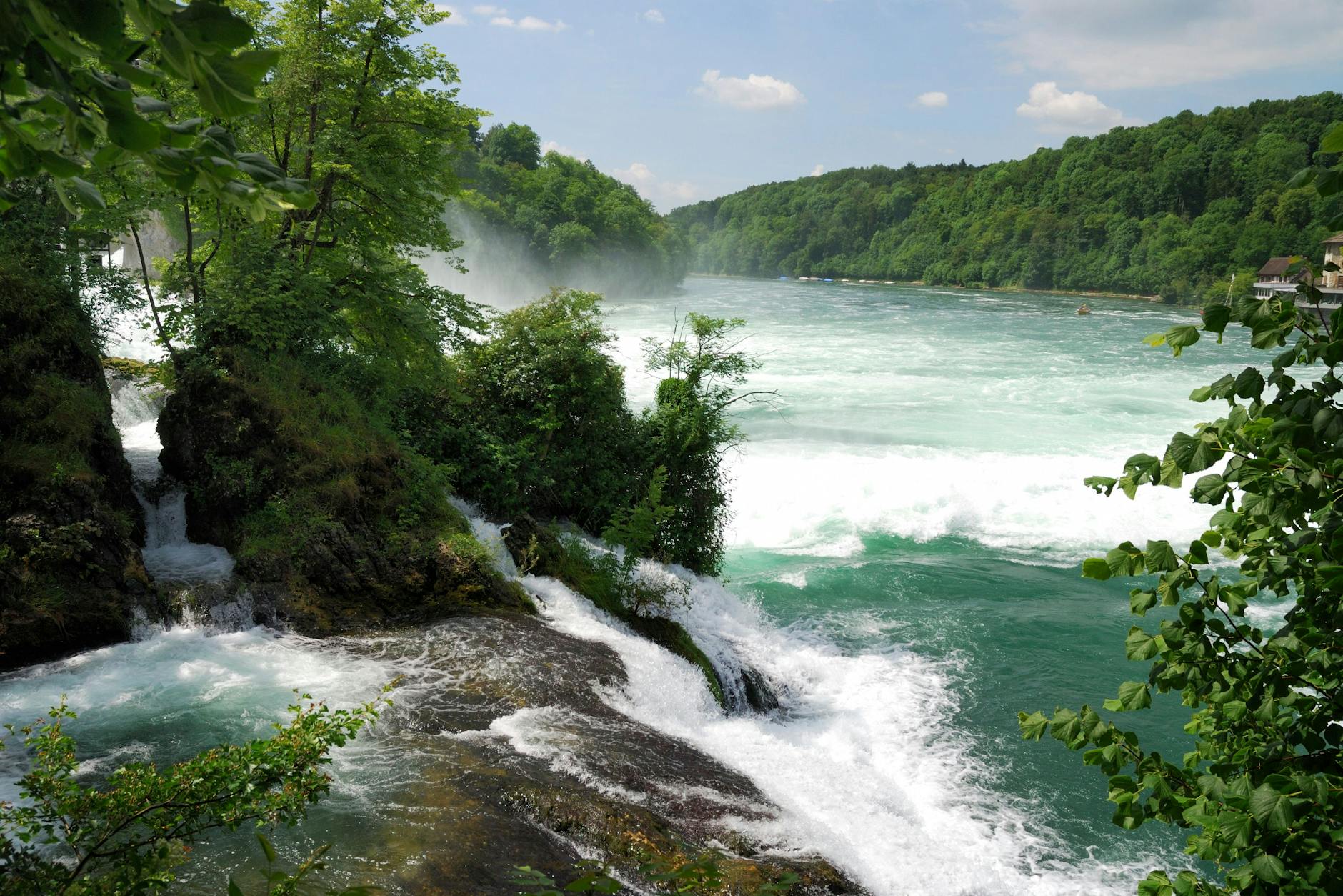 Mit dem Deutschlandticket in den Regenwald: so sieht es zumindest aus beim Rheinfall in Schaffhausen in der Schweiz.