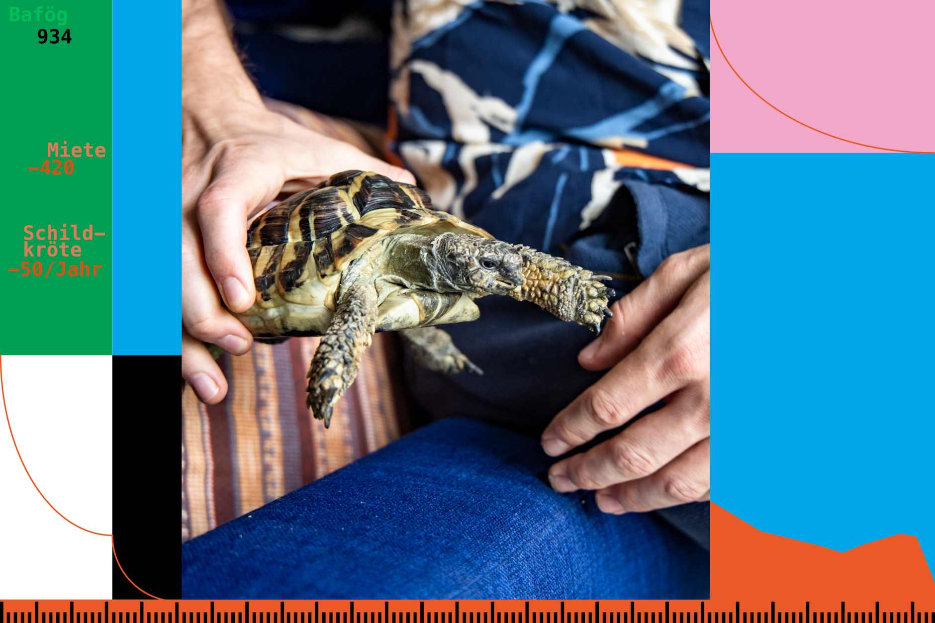 Malte, der anonym bleiben möchte, mit seiner Schildkröte Dieter