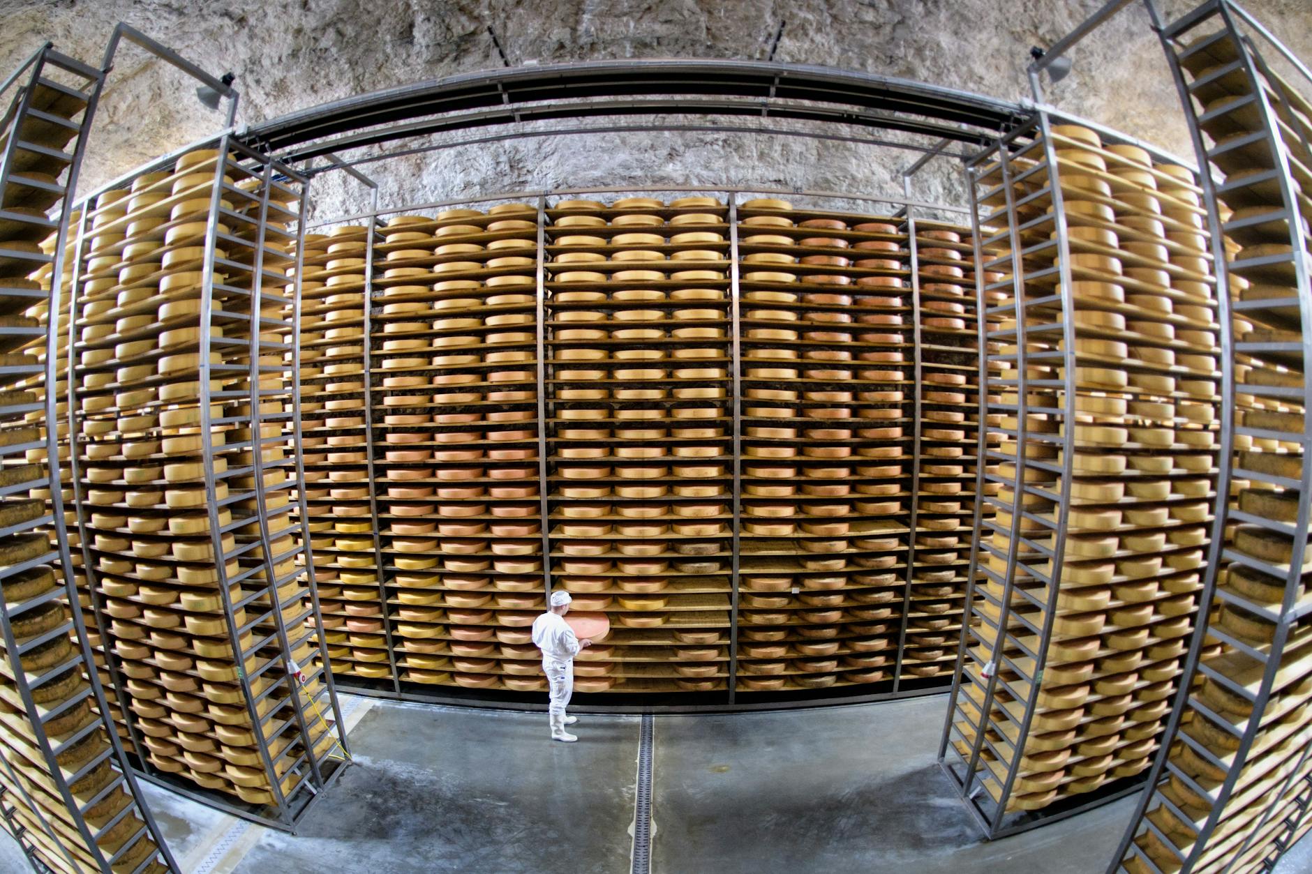 Ein Käsemeister hält im Reifekeller einer Käserei einen Käselaib in den Händen.