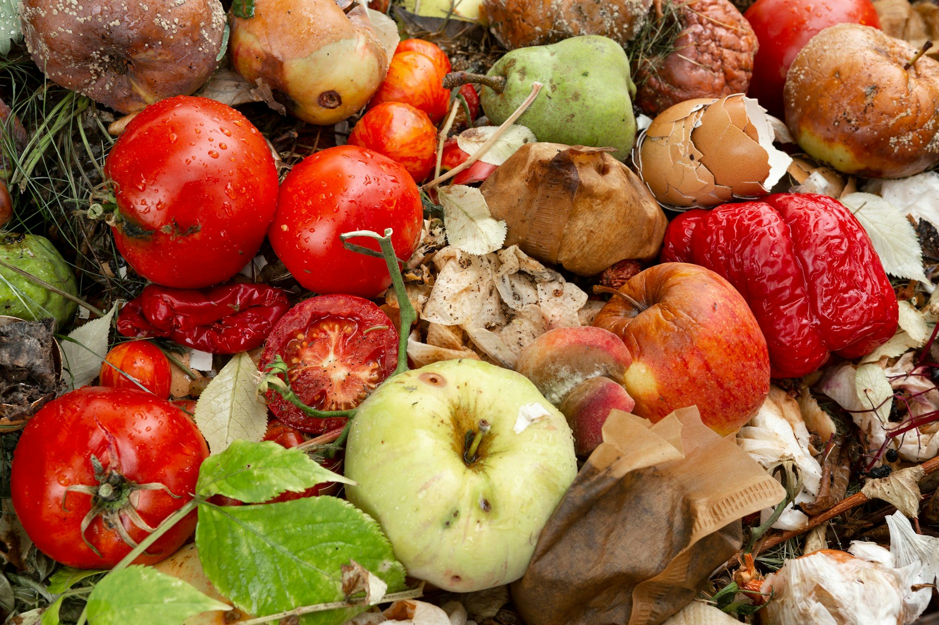 Beim Biomüll ist man gerne vorsichtig. Plastik gehört hier nicht hinein, auch wenn „kompostierbar“ darauf steht.