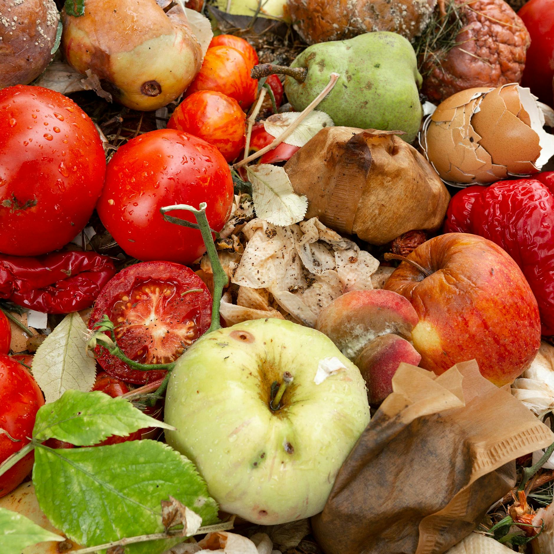 Das darf in die Biotonne – und das nicht!