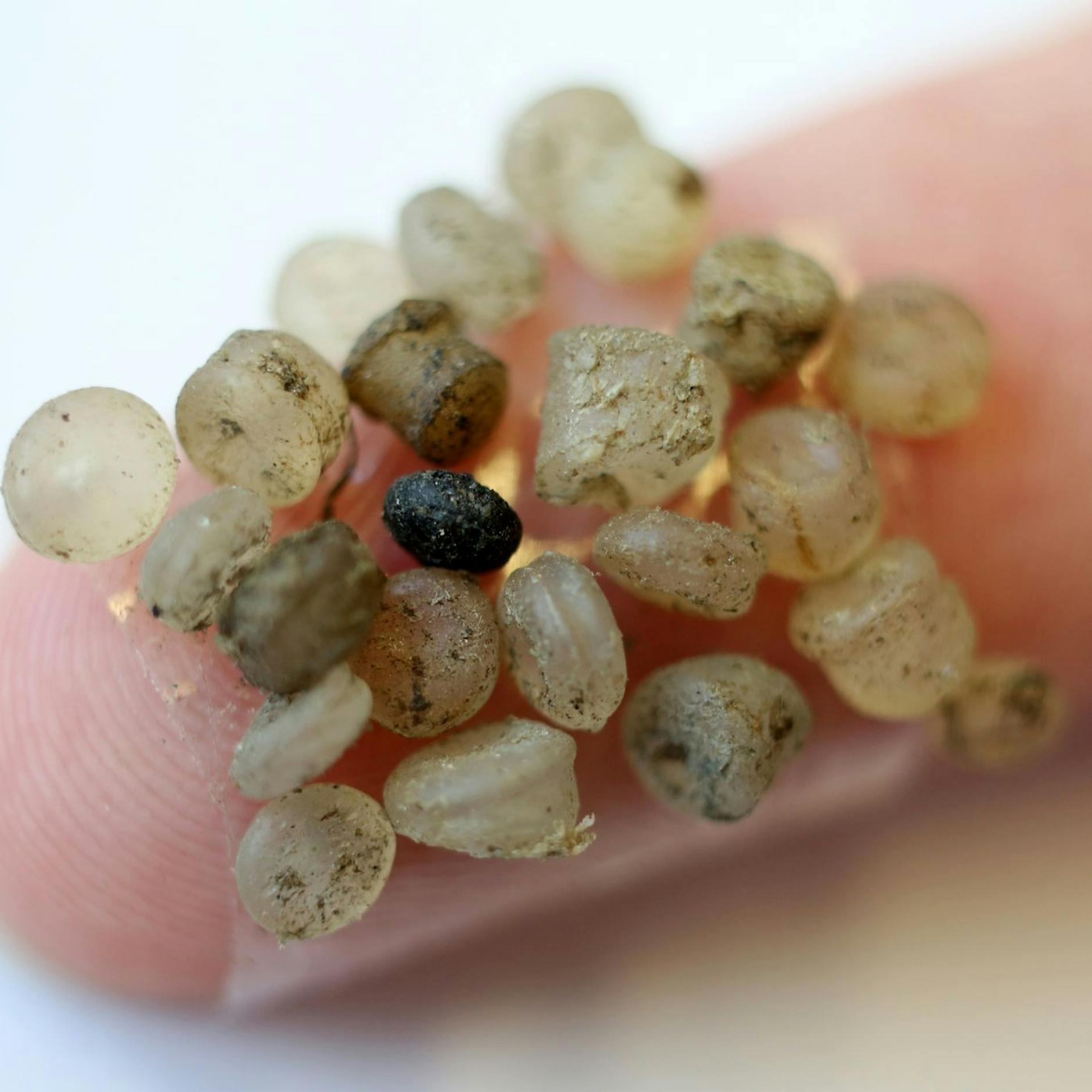 Image - Mikroplastik: Meere geben Teilchen an die Atmosphäre ab