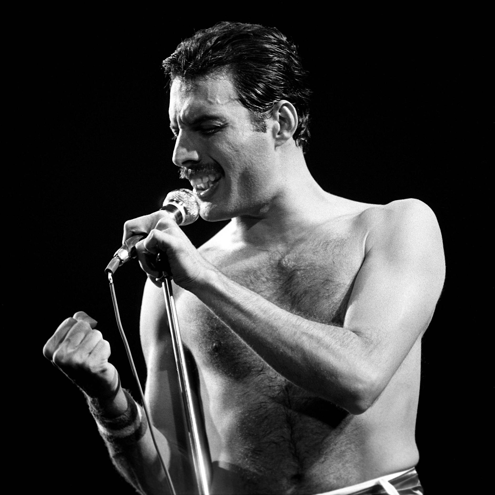 Freddie Mercurys Rechnung zum 39. Geburtstag: Champagner für 43.000 Mark