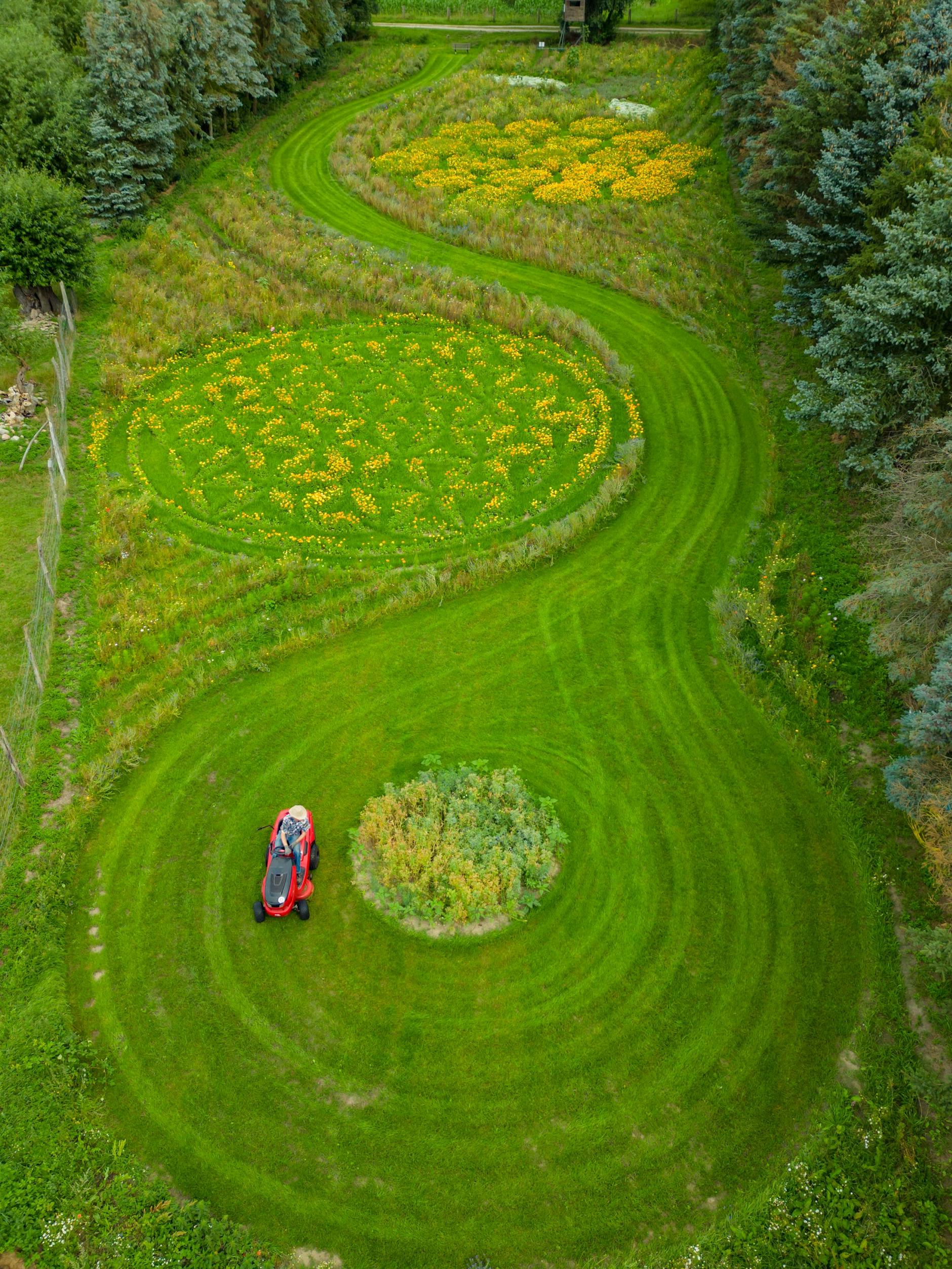 Michael Uy mäht Rasen auf seiner ganz besonderen Wiese für Insekten (Luftaufnahme mit einer Drohne).