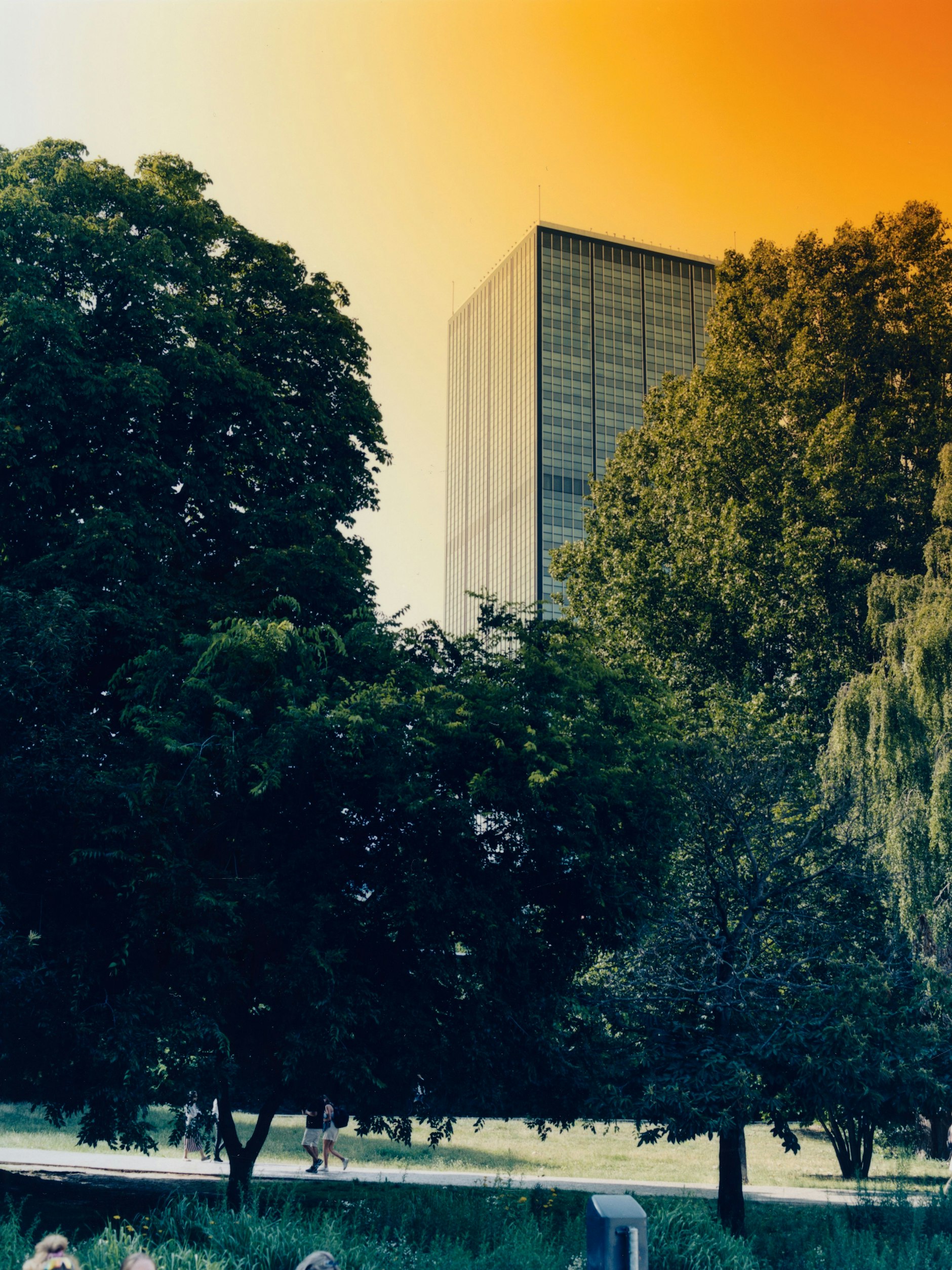 Sommer im Treptower Park