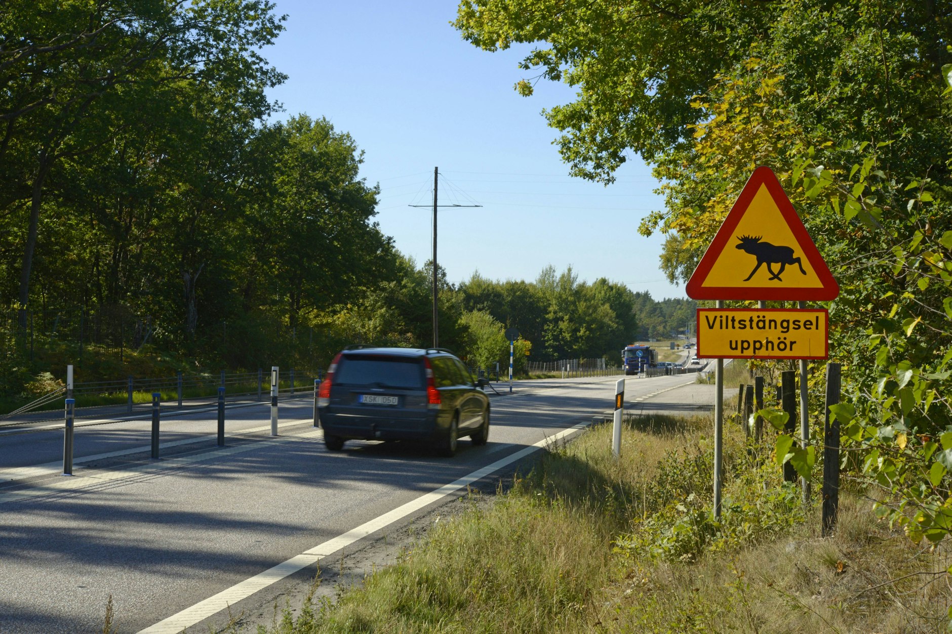 Nicht nur die Warnung vor Elchen bremst in Schweden den Verkehr. Es geht insgesamt entschleunigter zu – auch dank des Tempolimits.