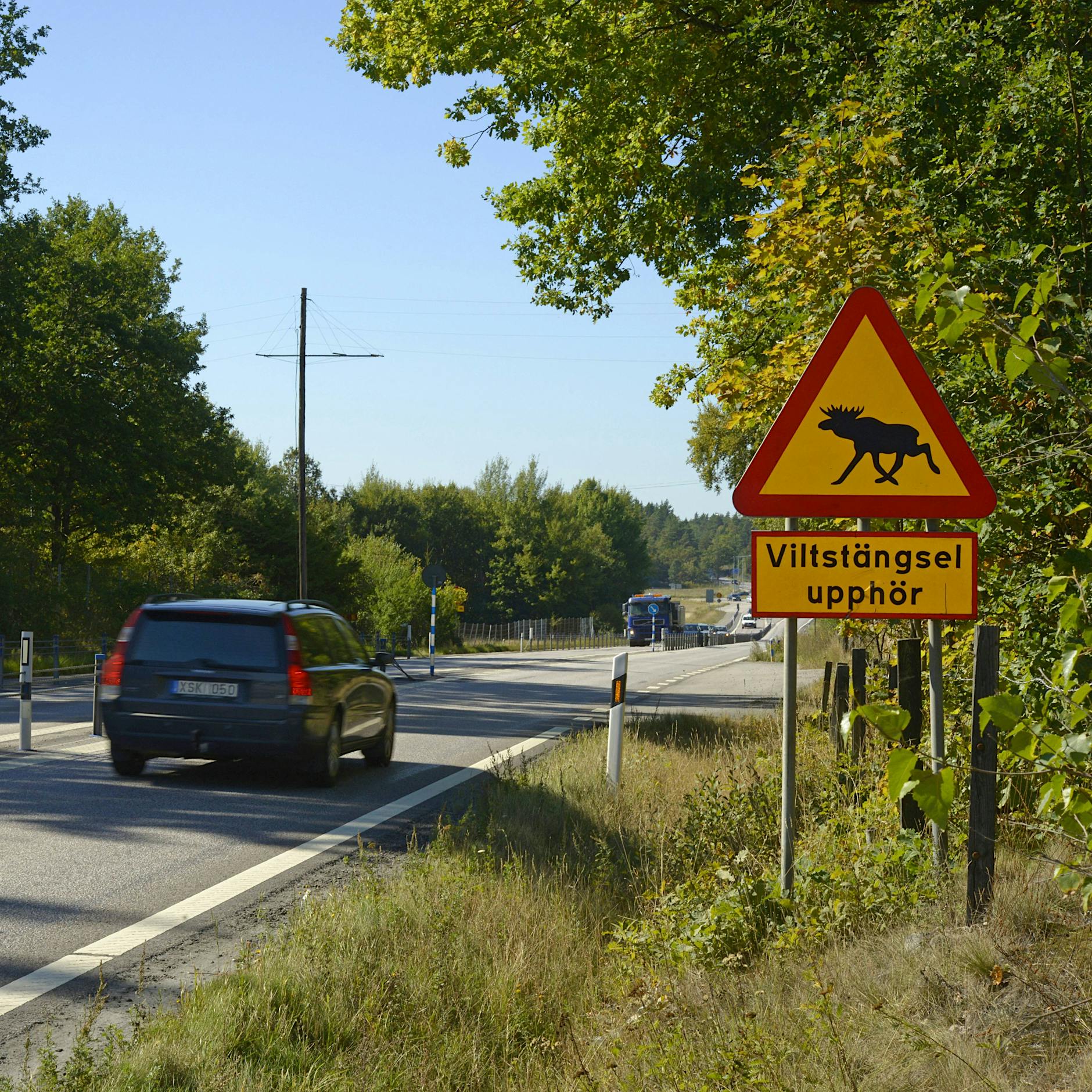 Leben am Tempolimit: Turbo-Thorsten hat in Schweden keinen Spaß