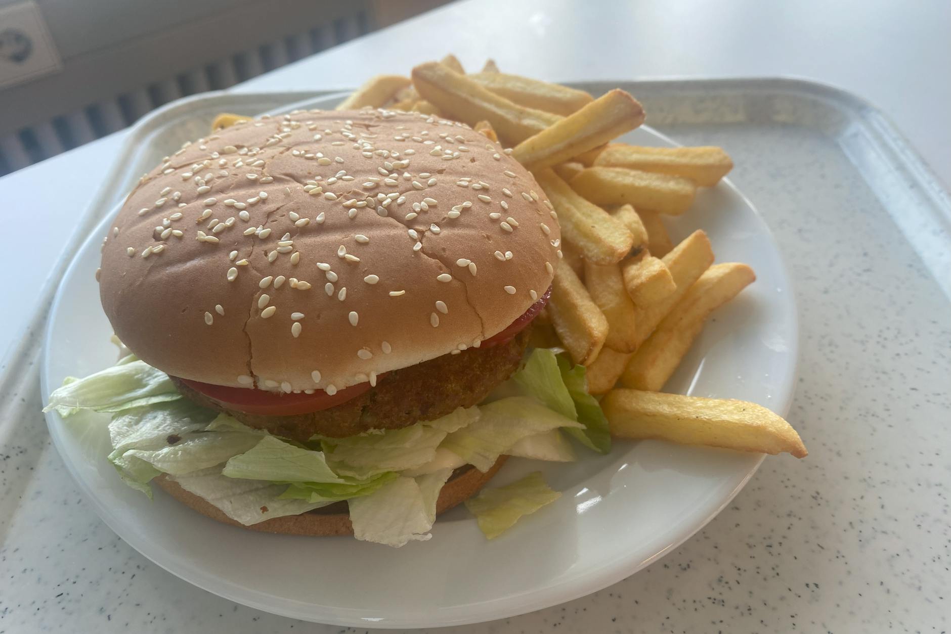 Einen Edamame-Minze-Burger und Pommes gibt es in der TU-Mensa für kleines Geld. 