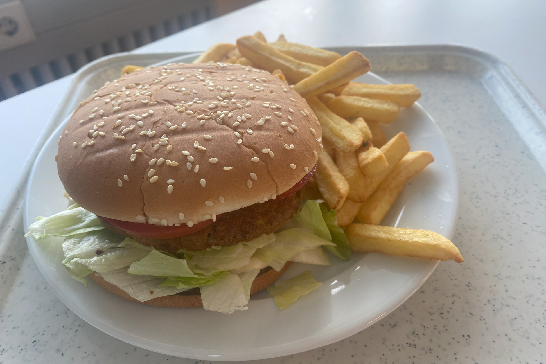 Einen Edamame-Minze-Burger und Pommes gibt es in der TU-Mensa für kleines Geld.&nbsp;