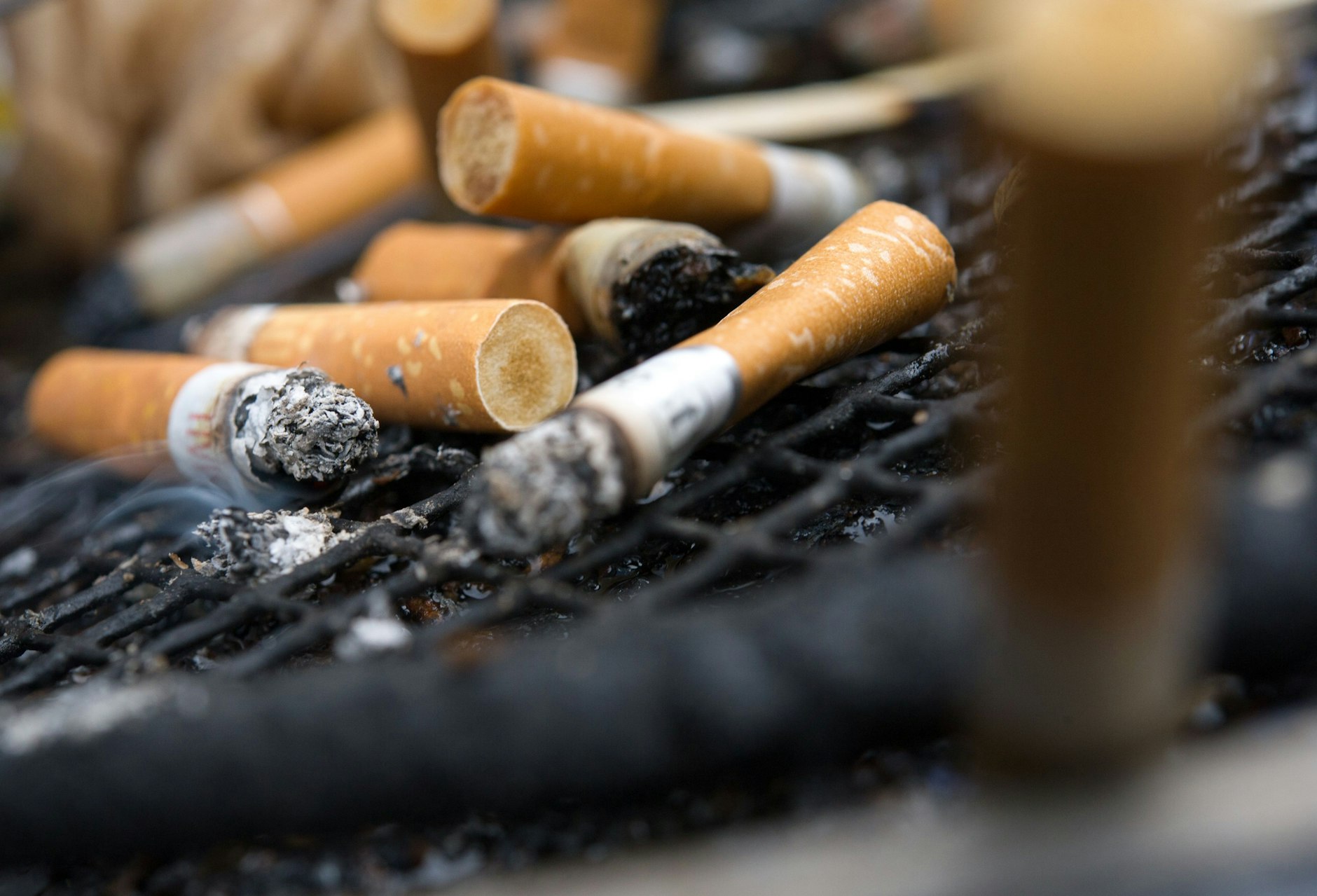 Absurde Rechnung? Bericht Schachtel Zigaretten soll 23 Euro kosten!