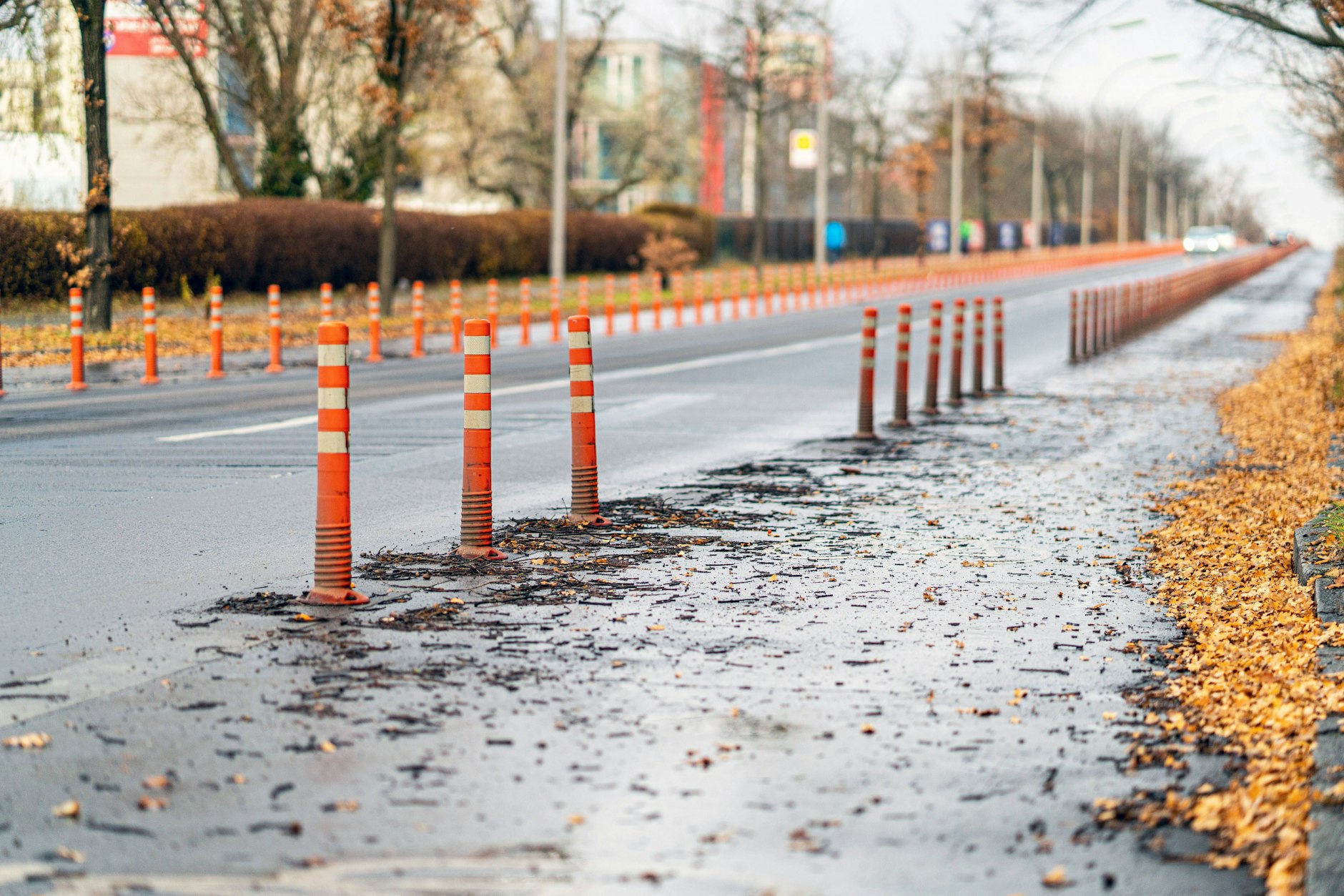 Der „Vollpfosten-Radweg“ in Zehlendorf: Mehr als 600 Poller schützen die Radfahrstreifen auf einem 1,1 Kilometer langen Abschnitt des Dahlemer Wegs. Die Nutzung hält sich allerdings in Grenzen.
