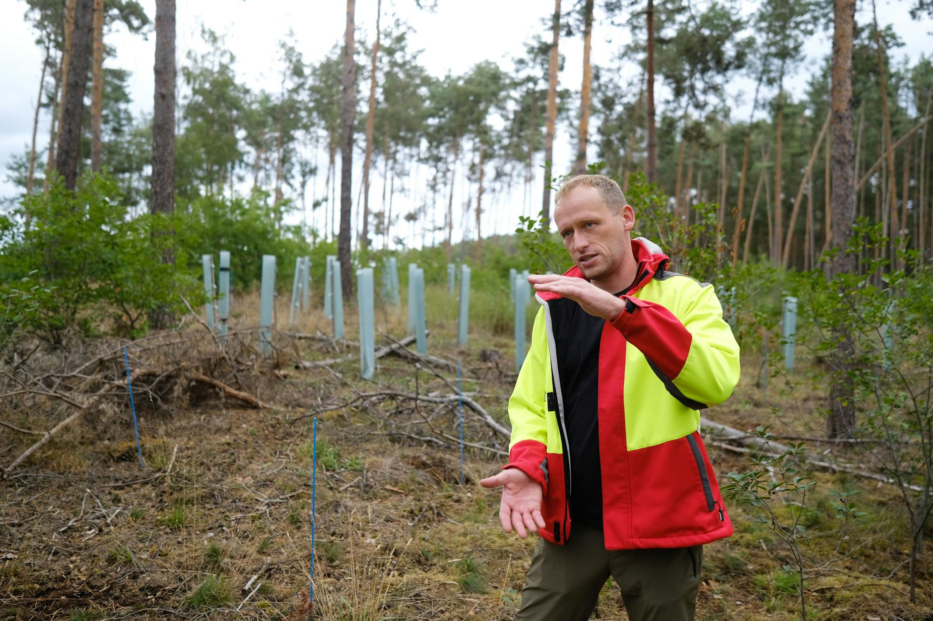 Christian Burkhardts zweites Zuhause: sein junges Forstgrundstück bei Bad Liebenwerda
