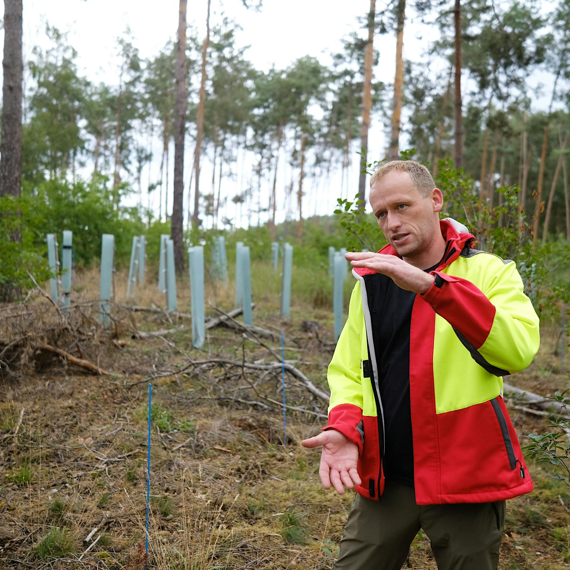Kampf gegen die Flammen: Ein Brandenburger will den Wald umkrempeln