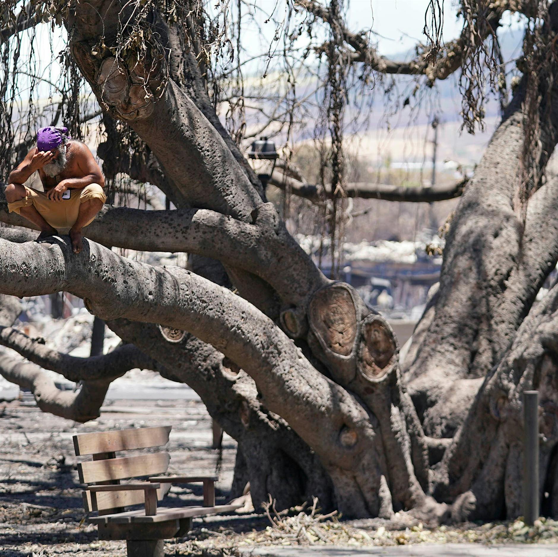 Maui in Hawaii: Tränen-Rückkehr ins verglühte Paradies