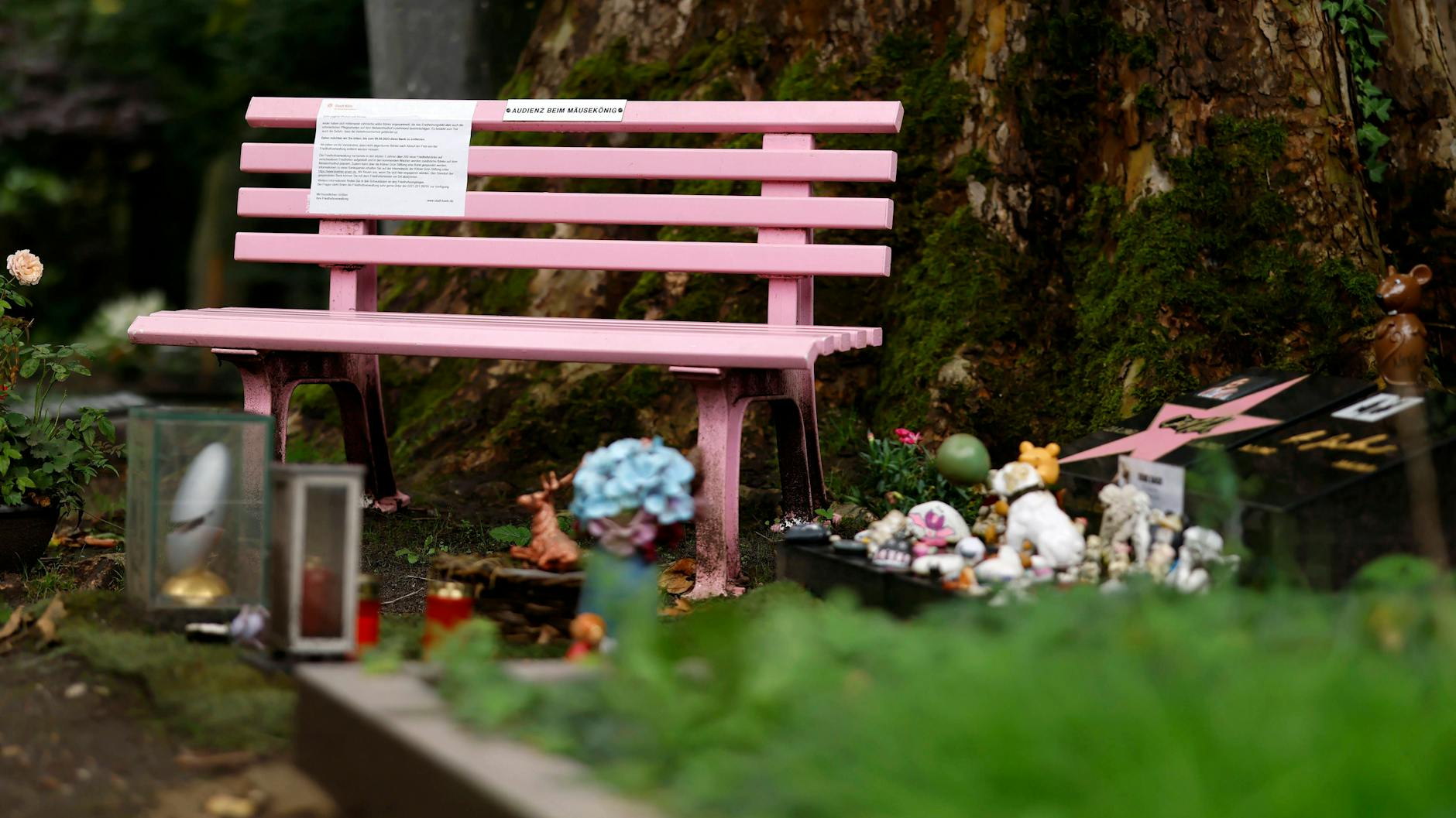 Die Stadt Köln befestigte einen Zettel an der Bank am Grab von TV-Star Dirk Bach.