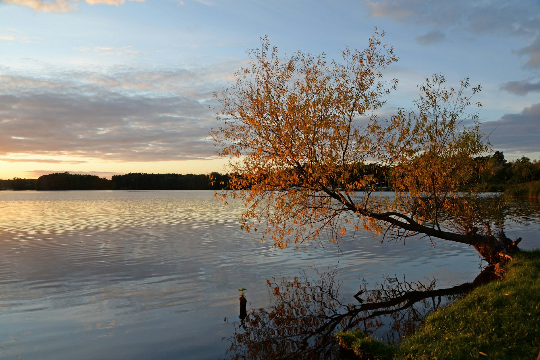 Das Opfer wurde in einem Waldstück am Schwielochsee niedergestochen.