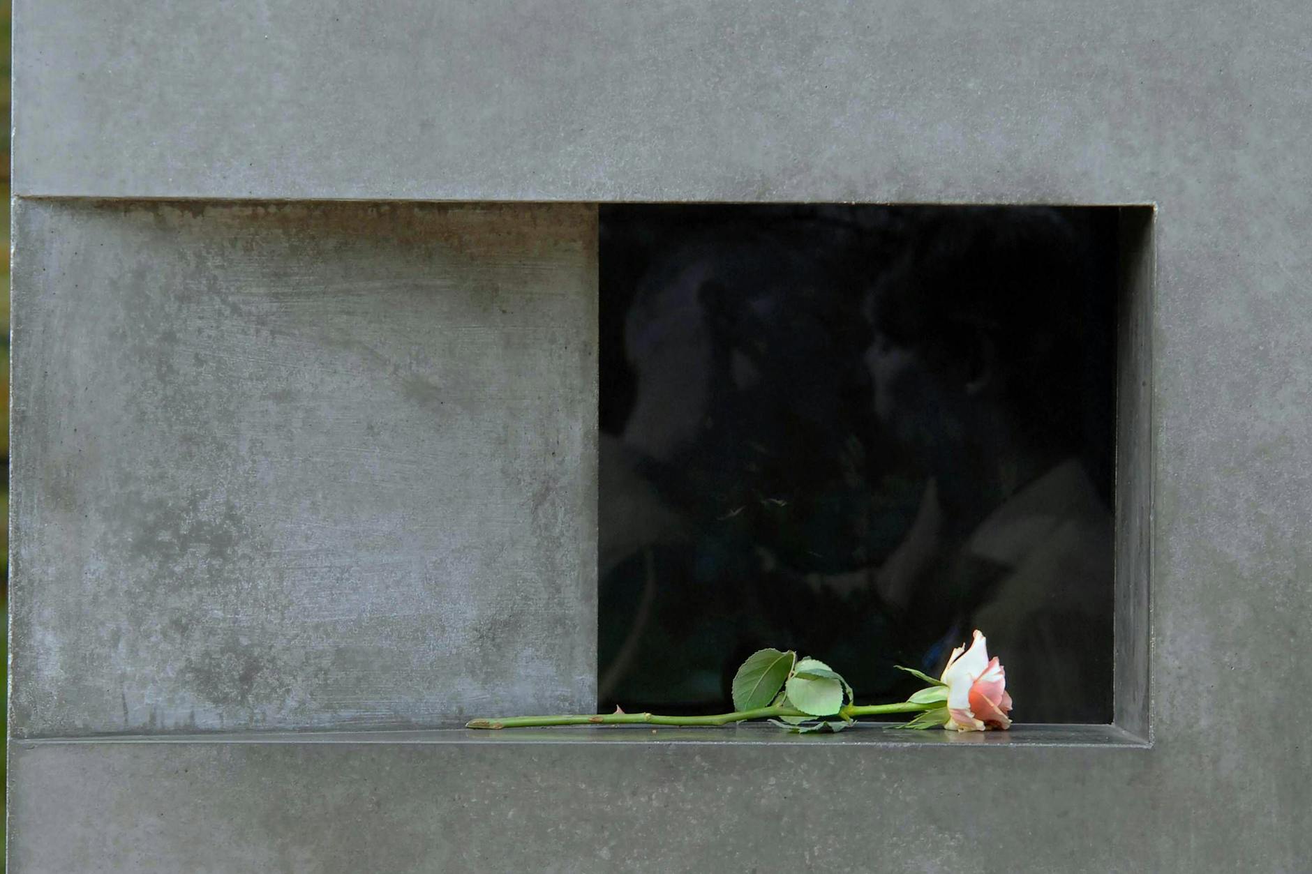 Eine Rose am Denkmal für die im Nationalsozialismus verfolgten Homosexuellen in Berlin