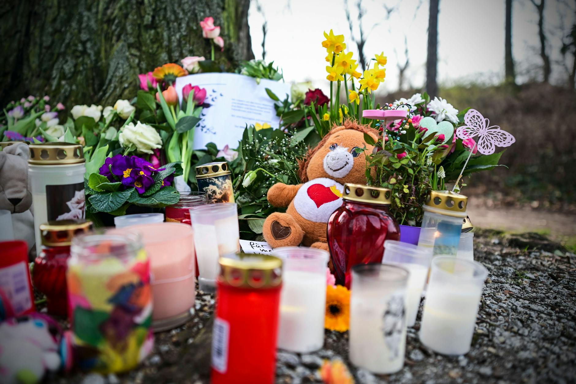 Blumen, Kerzen und Plüschtiere legten Berliner an den Ort im Berliner Bürgerpark Pankow, wo im Februar 2023 die leblose Anissa gefunden wurde. Sie starb an den Folgen ihrer Verletzungen im Krankenhaus.