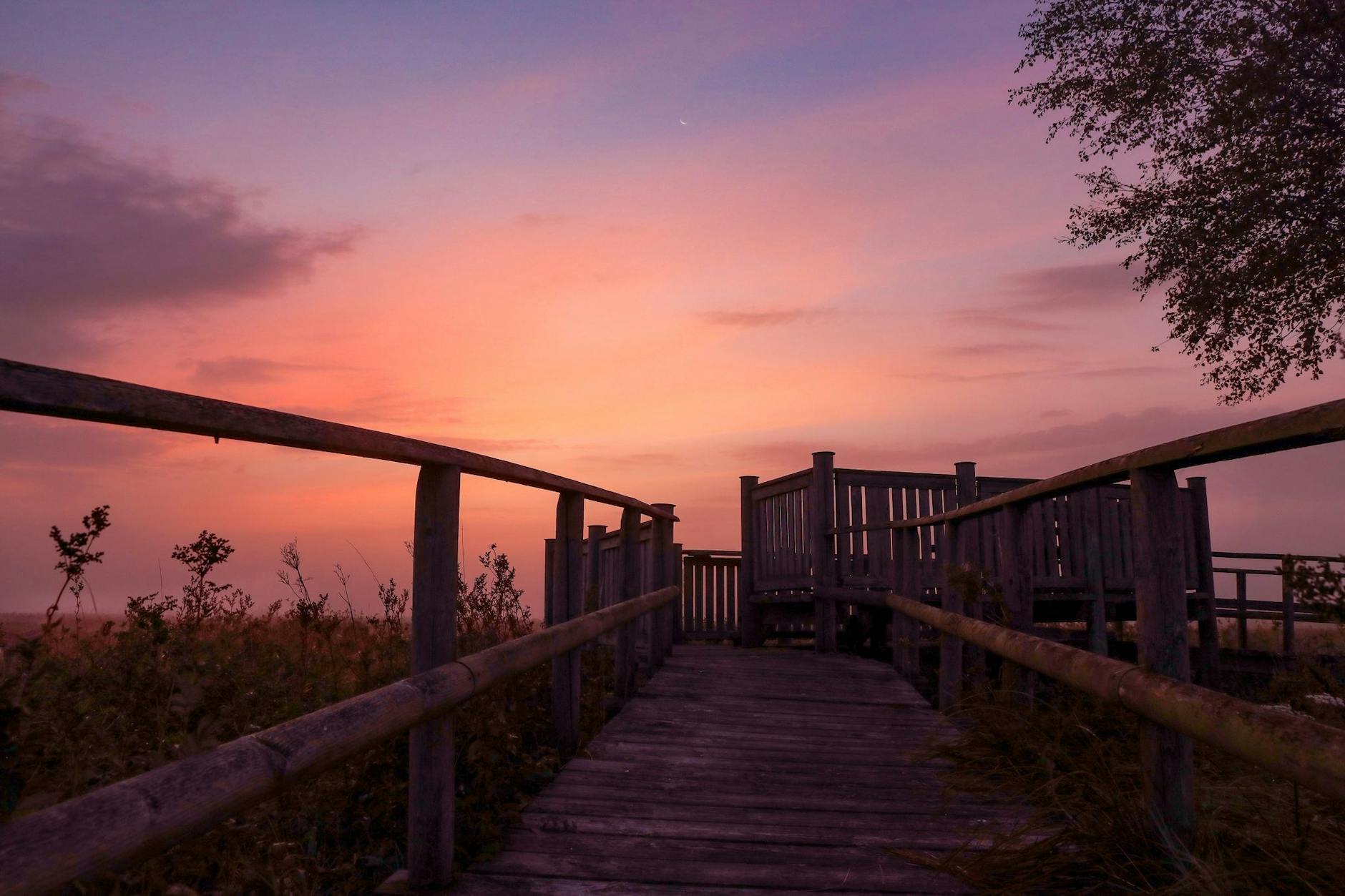 Hinter einem Steg im Oggelshauser Ried am Federsee in Baden-Württemberg hat sich kurz vor Sonnenaufgang der Himmel in Rottöne gefärbt.