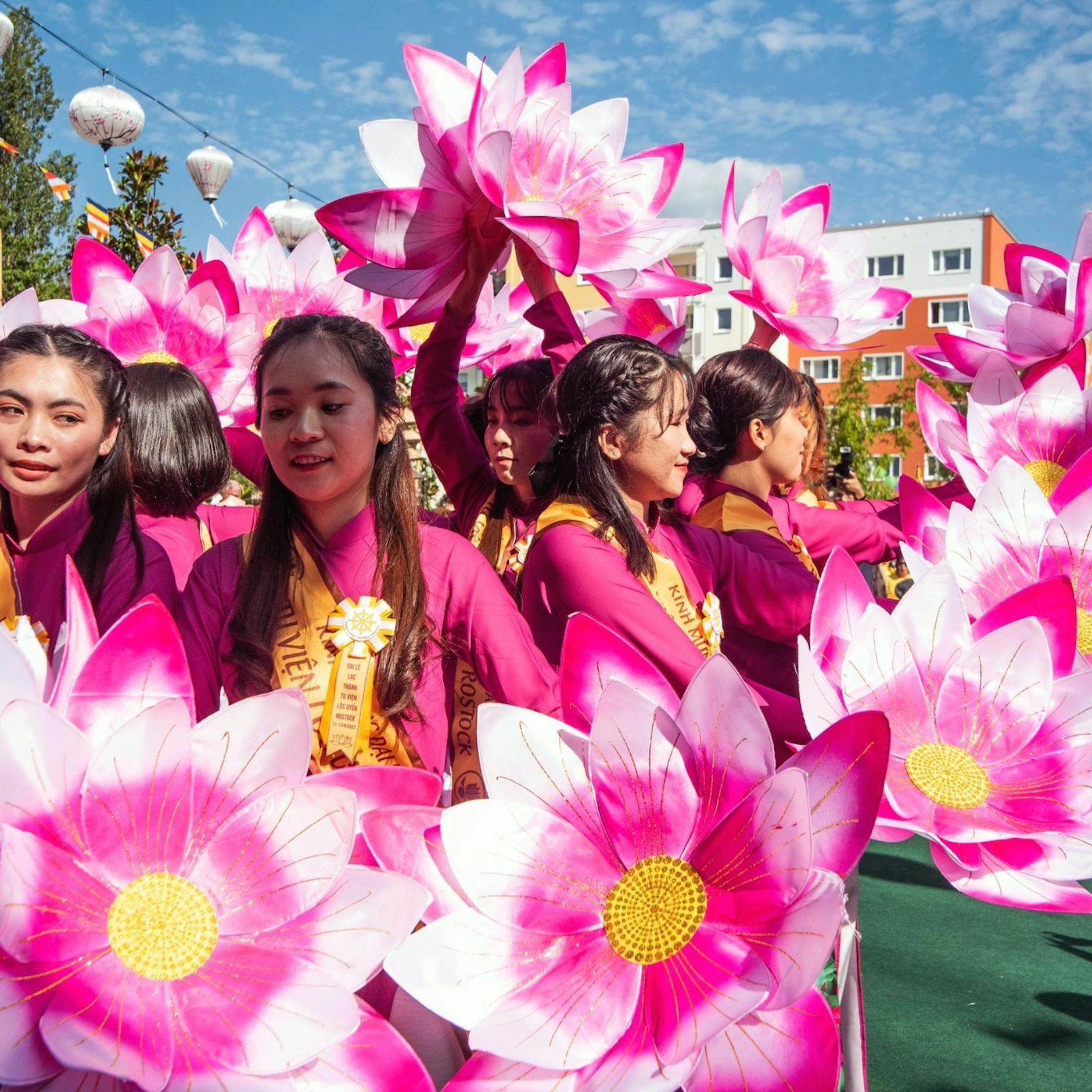 Image - Bilder des Tages