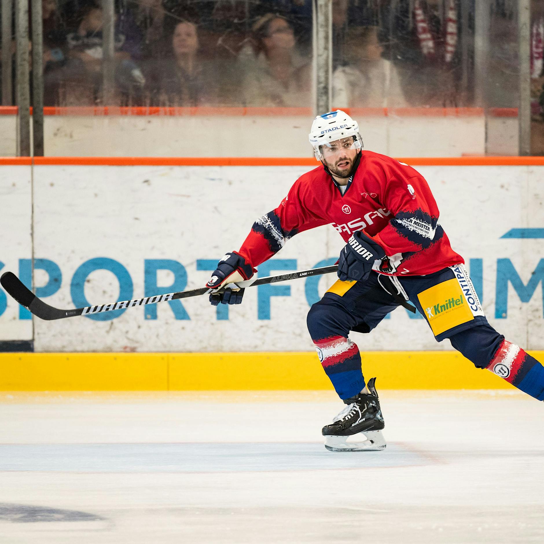 Schnell und genau: Ben Finkelstein dreht bei den Bären auf