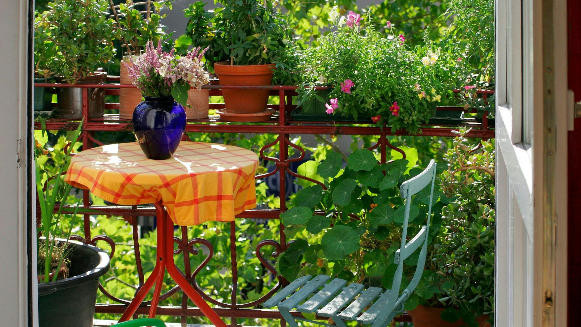 Auf dem Balkon und im Garten möchte man gerne beschaulich essen. Mit den richtigen Kräutern und Pflanzen geht das.