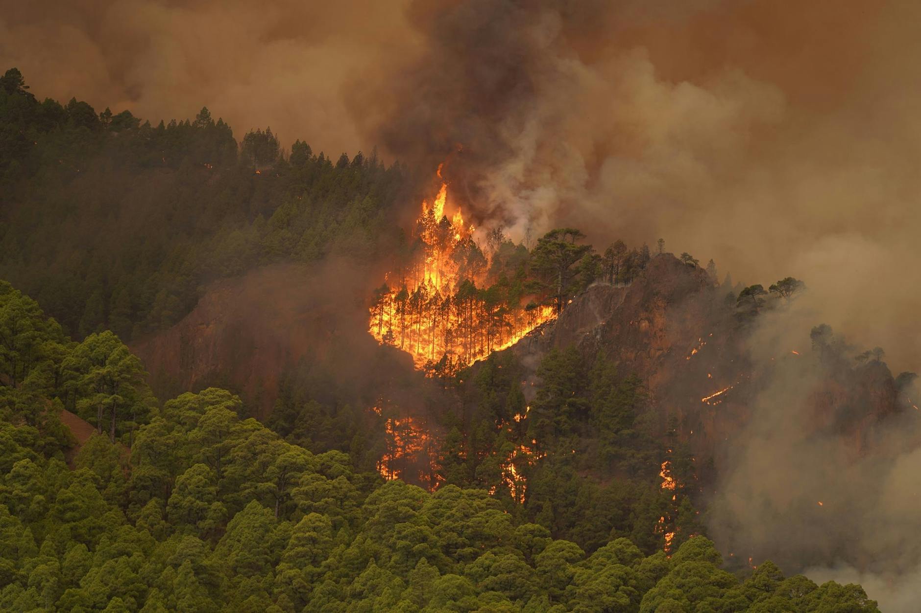 Der Wald von Teneriffa steht in Flammen.