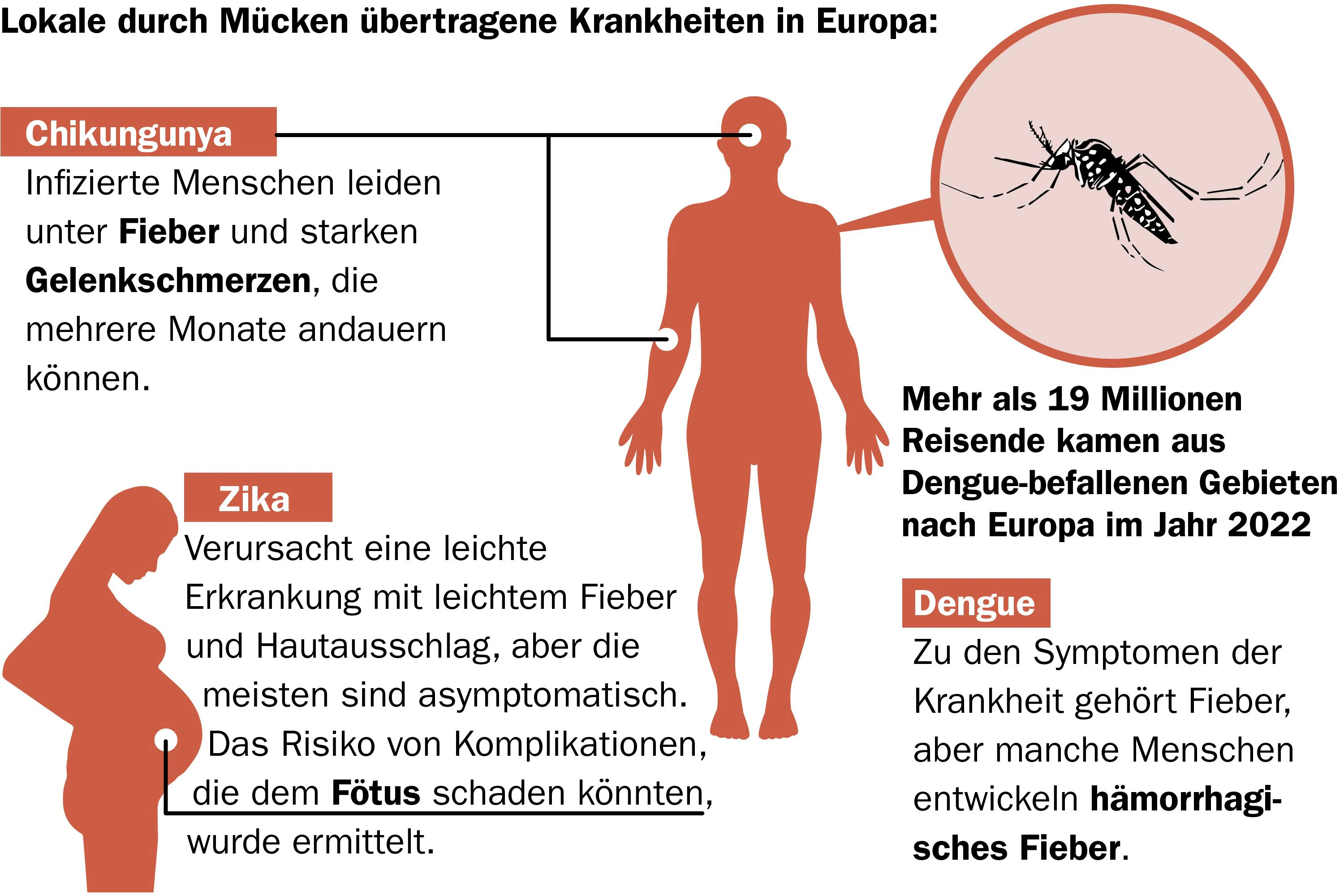 Es wird vorausgesagt, dass zukünftige Klimatrends das Risiko der Etablierung von Aedes albopictus in Nordeuropa erhöhen. Der Grund: Feuchtere und wärmere Bedingungen.