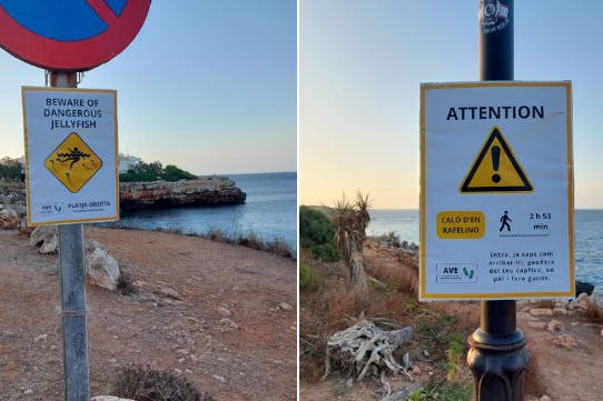 Mit Fake-Schildern dieser Art sollen Touristen von den beliebten Stränden auf Mallorca vertrieben werden.