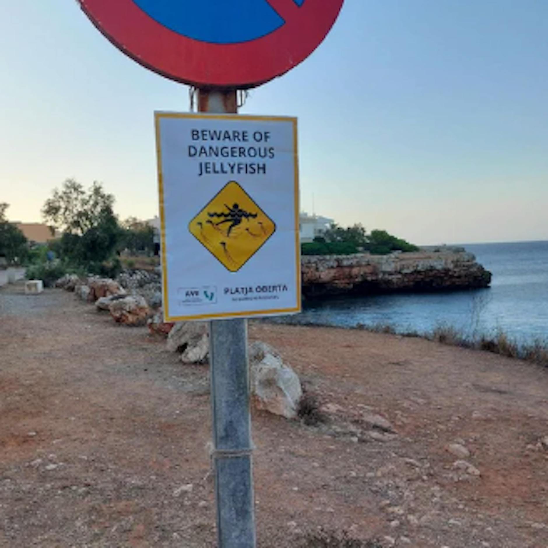 Mallorca: Touristen-Hasser vergraulen Urlauber mit Fake-Schildern