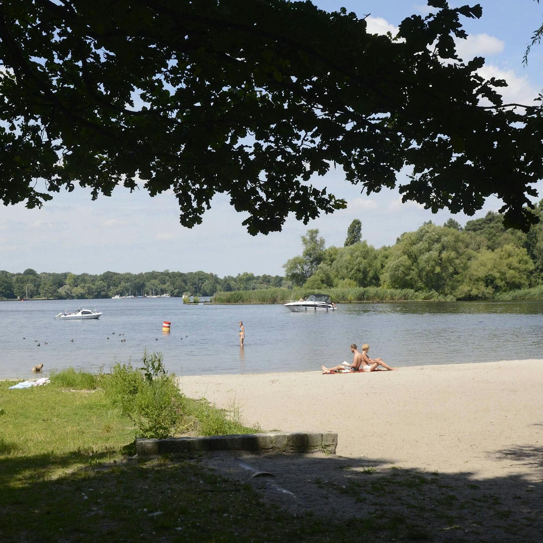 Wegen Blaualgen im Wasser: Hier sollten die Berliner nicht mehr baden!