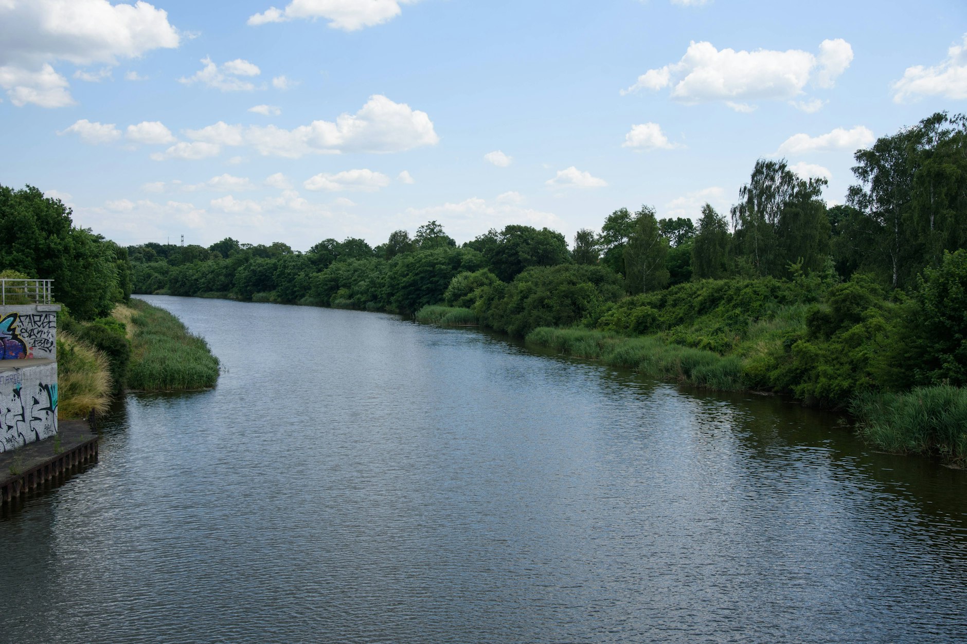 Der Gleiwitzer Kanal: Polnische Behörden haben hier wieder mehr giftige Goldalgen entdeckt.