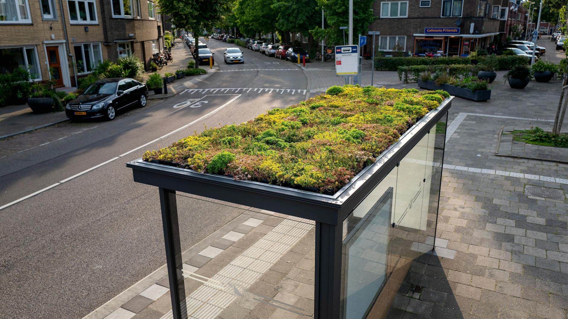 Utrecht macht es vor: Die niederländische Stadt hat schon seit 2019 grüne Haltestellen.