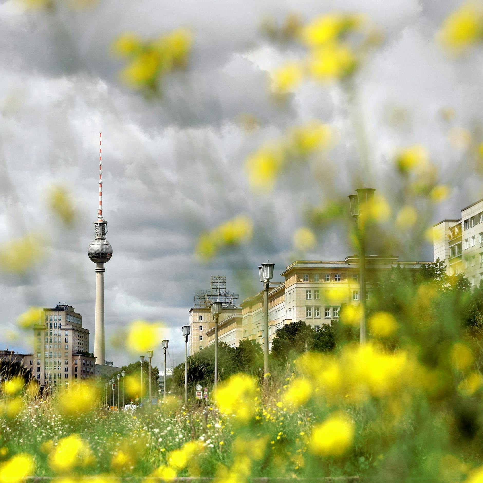 Wochenlang weg aus Berlin - war was?