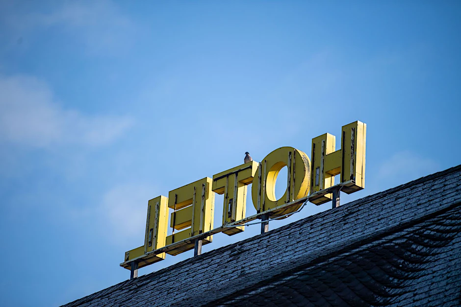 ARCHIV - Eine Taube sitzt auf dem Dach eines Hotels.  