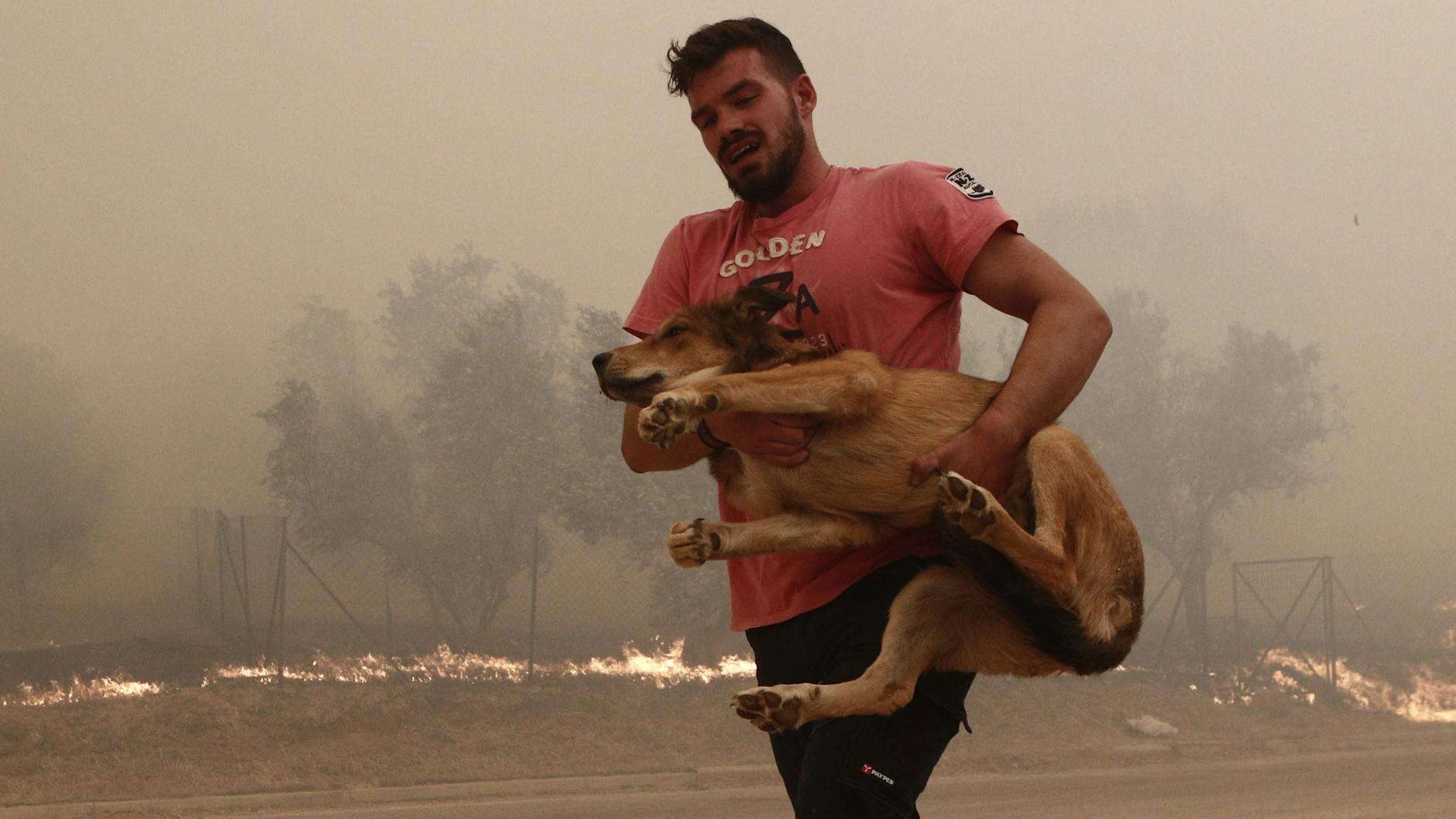 Ein Mann rettet einen Hund aus dem Feuer in Fyli, einem Vorort von Athen.