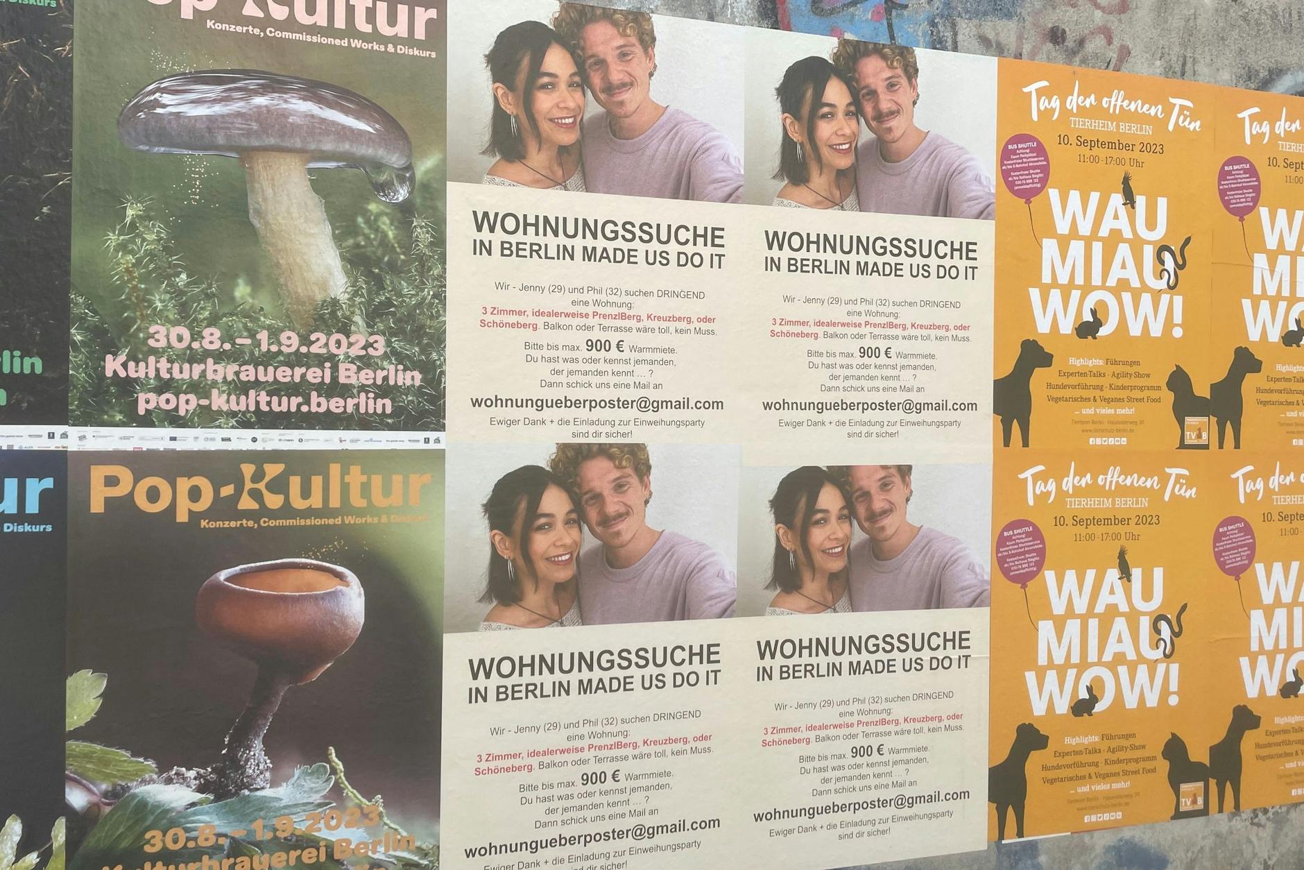 Bitte bis max. 900 Euro Warmmiete ...