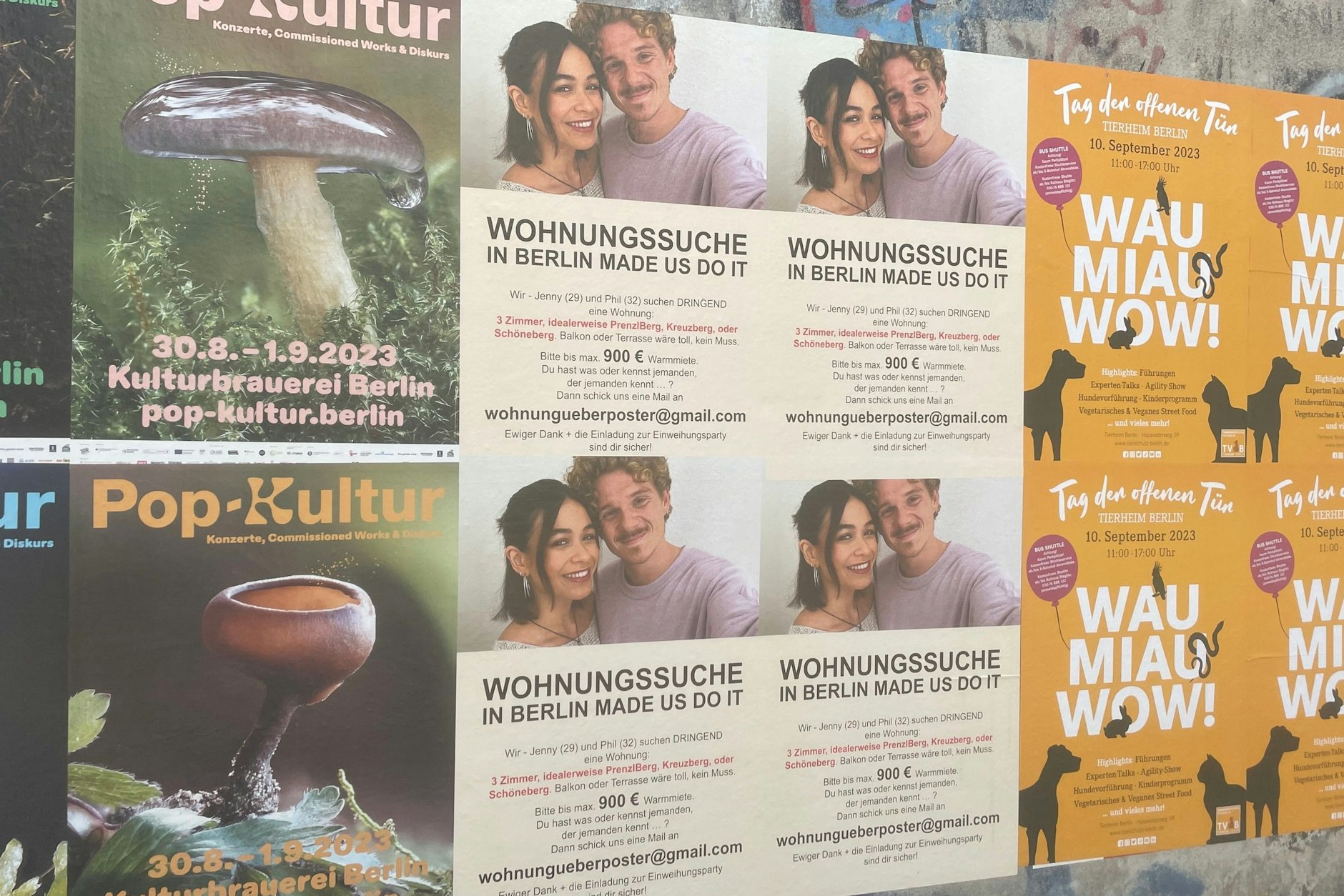 Bitte bis max. 900 Euro Warmmiete ...